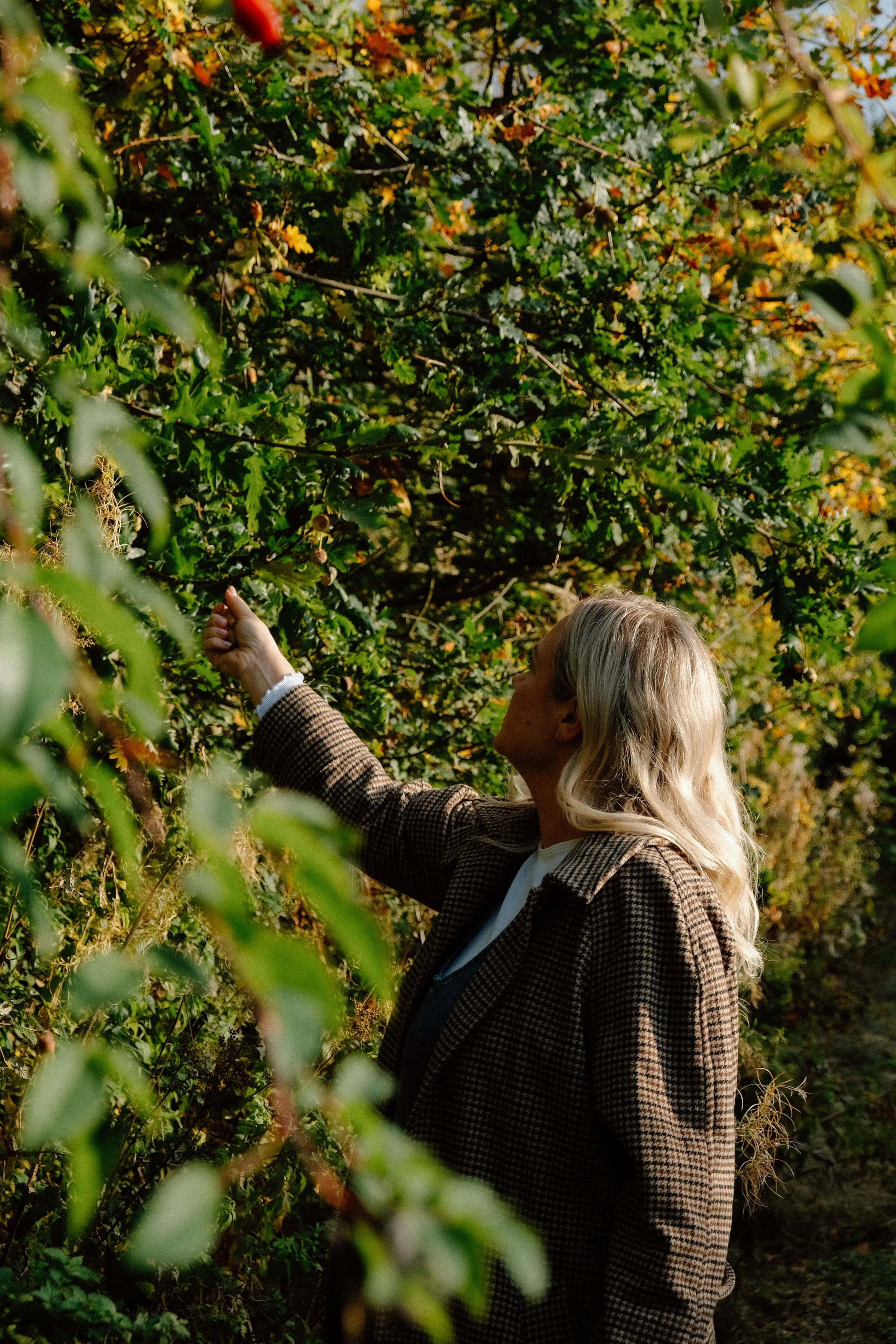 High functioning anxiety… things I’ve done in the past when I was in the thick of it