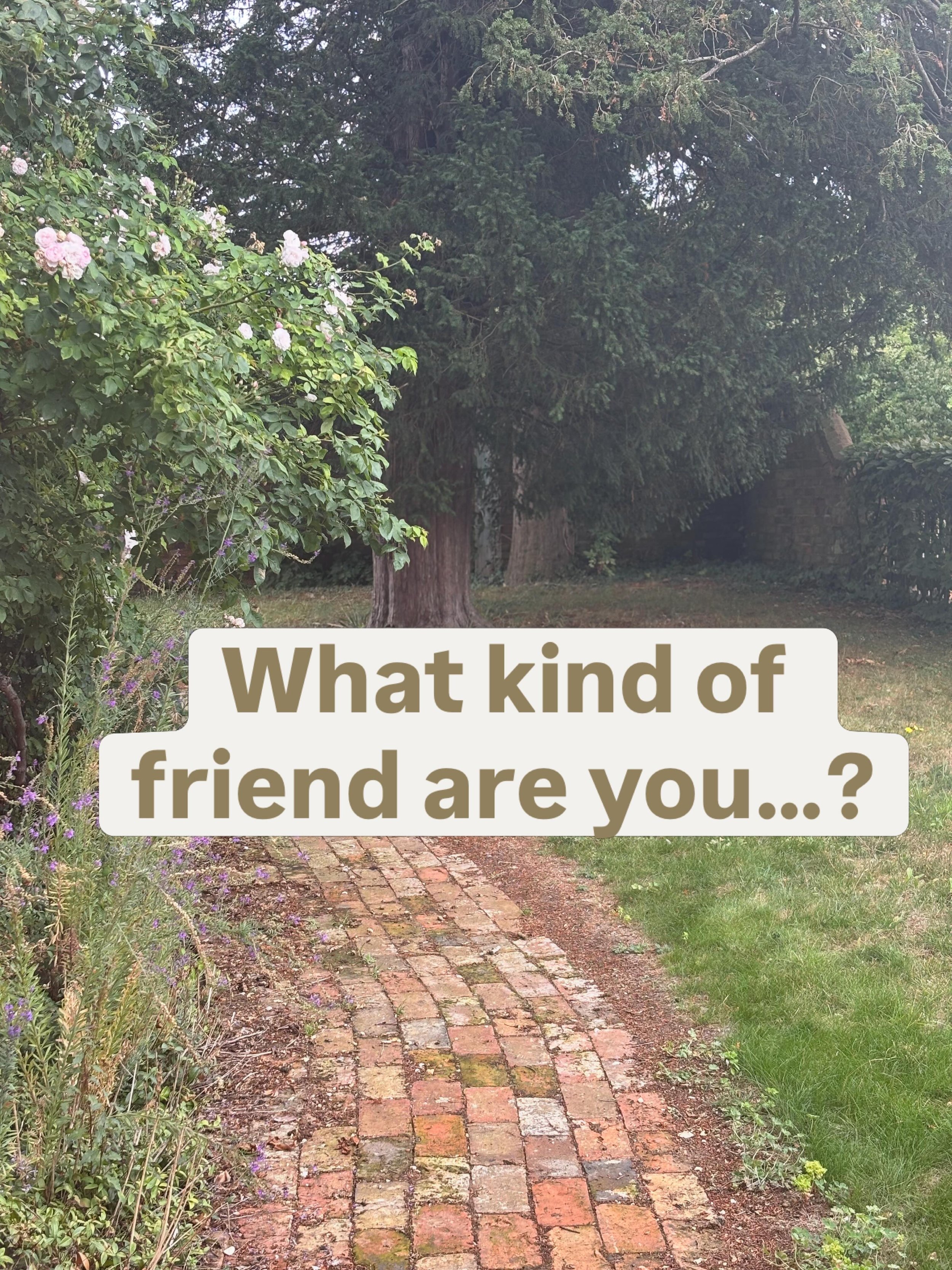 Are you the one that everyone turns to, all whilst not wanting to be a burden yourself? 

You deserve support too - being strong doesn&rsquo;t mean you have to carry evening by yourself 🌱

Your brain isn&rsquo;t meant to run on constant high alert ?