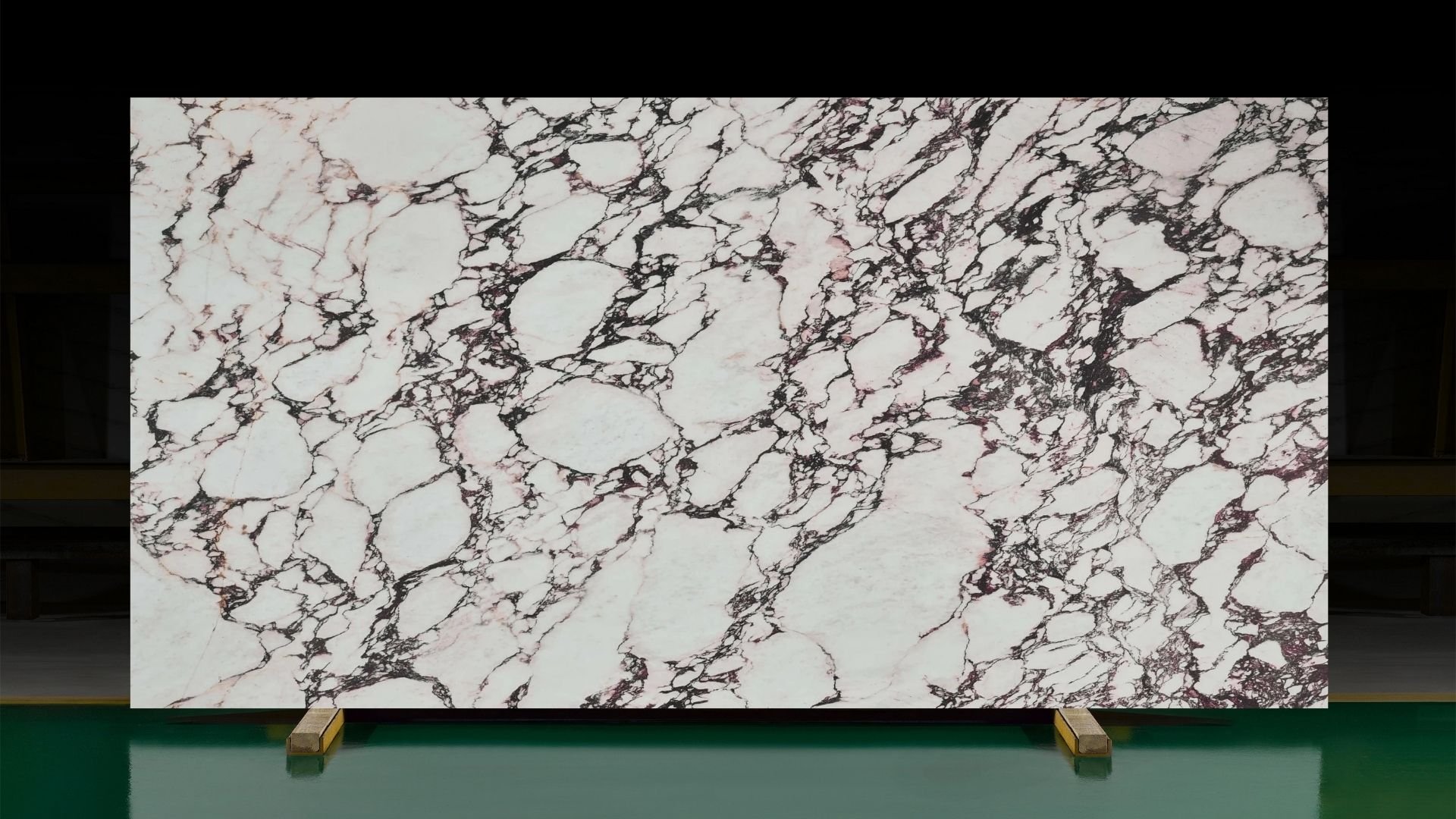 Calacatta Viola 3D(1).jpg