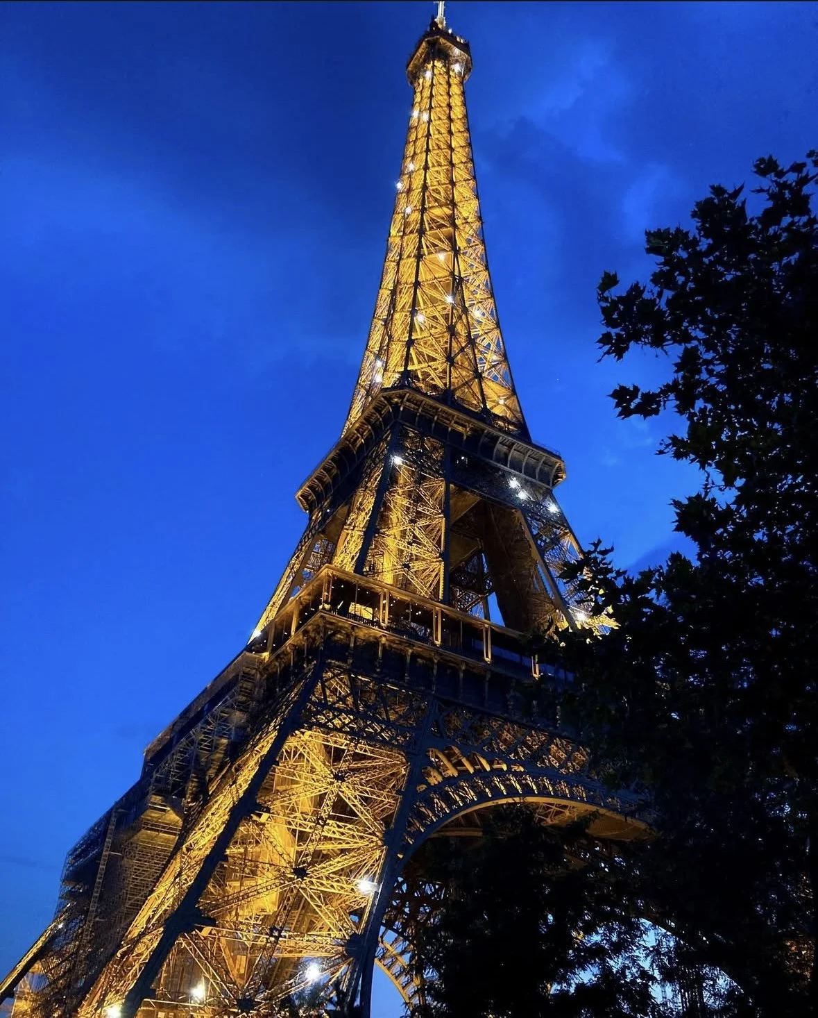 Nighttime view of the Eiffel Tower illuminated with gold lights against a dark blue sky, with some tree branches visible on the lower right side.