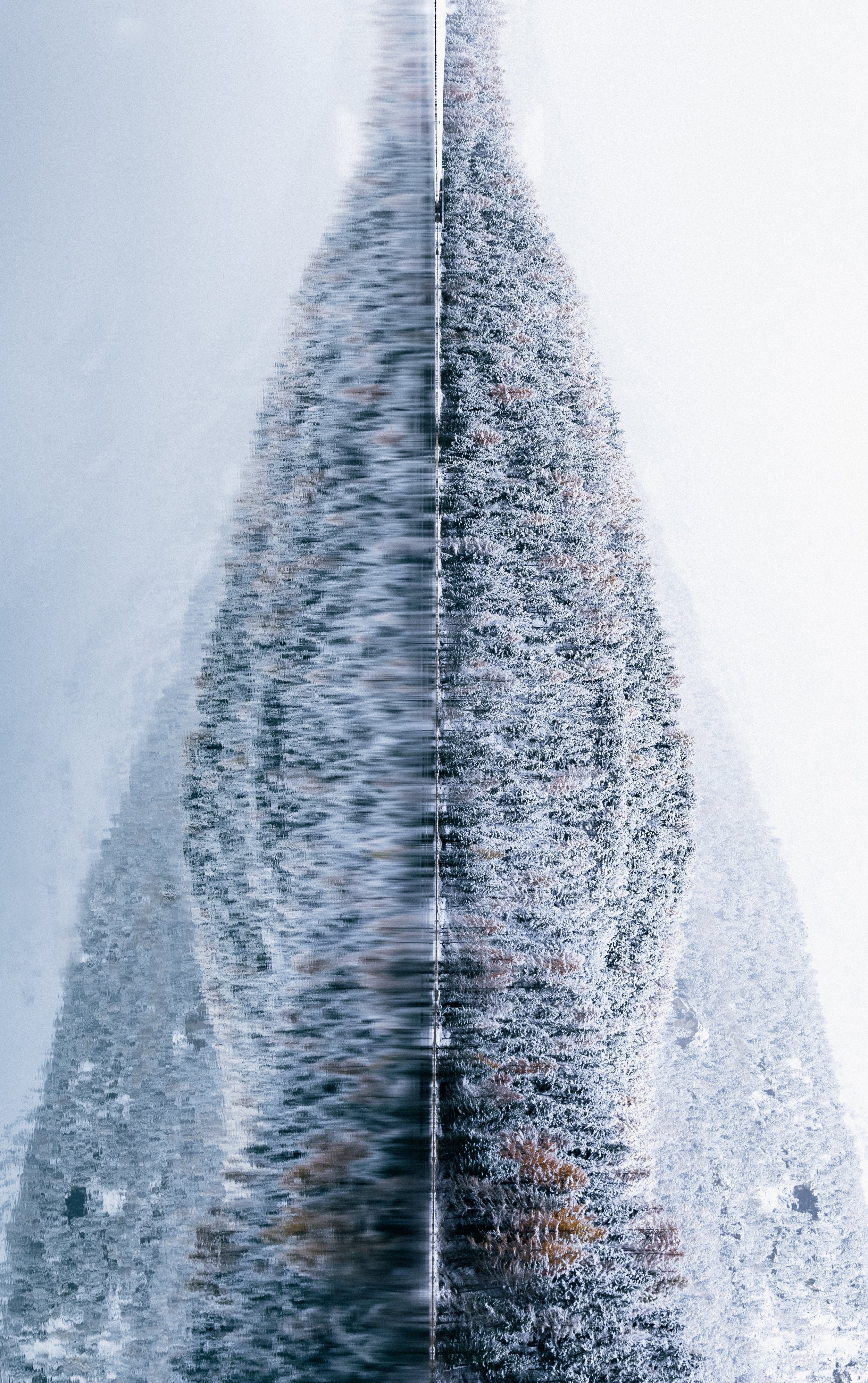 2023-11-3 Merry Xmas Org Ver (1 of 1).jpg