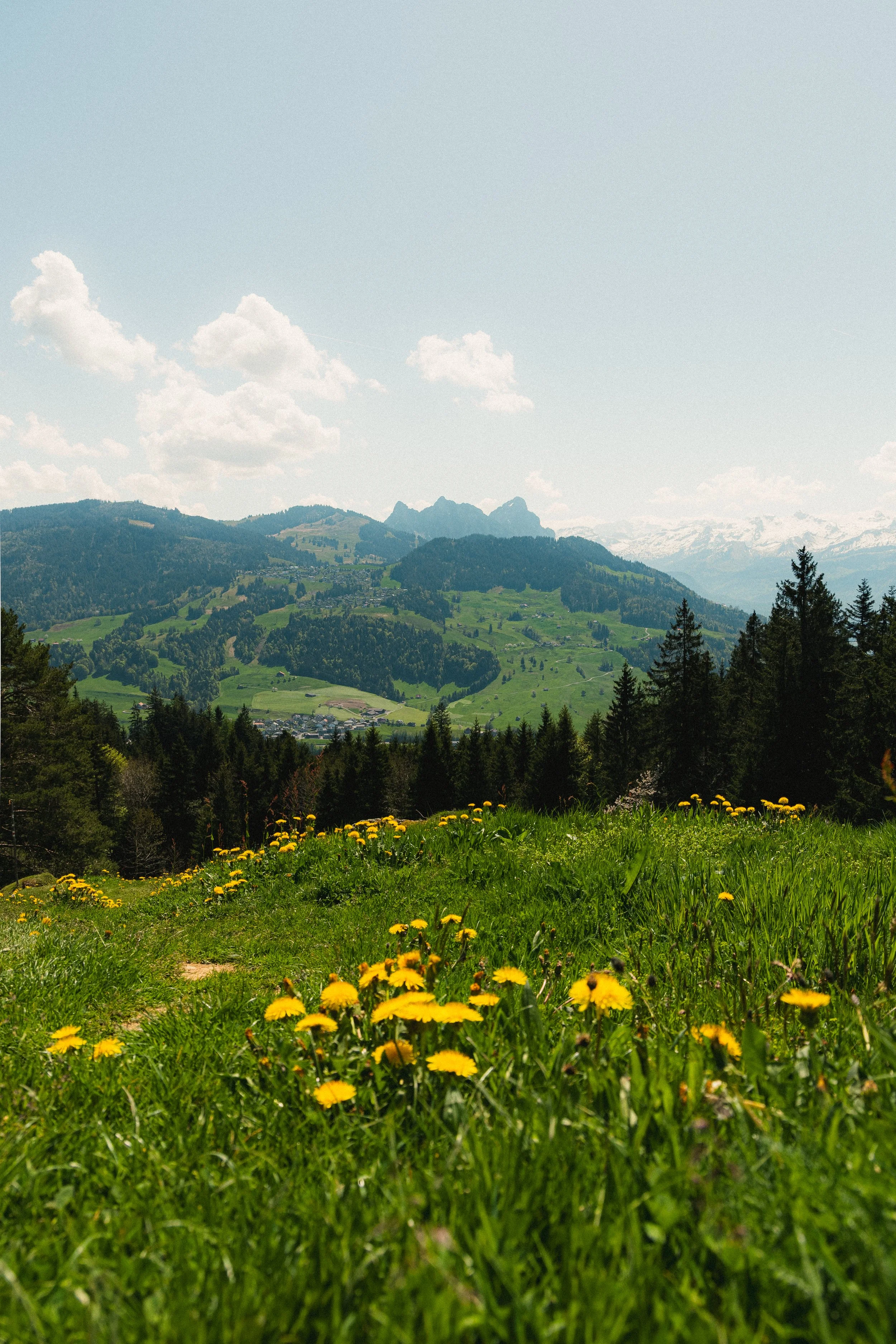 2025-5-1 Wildspitze (1 of 7).jpg