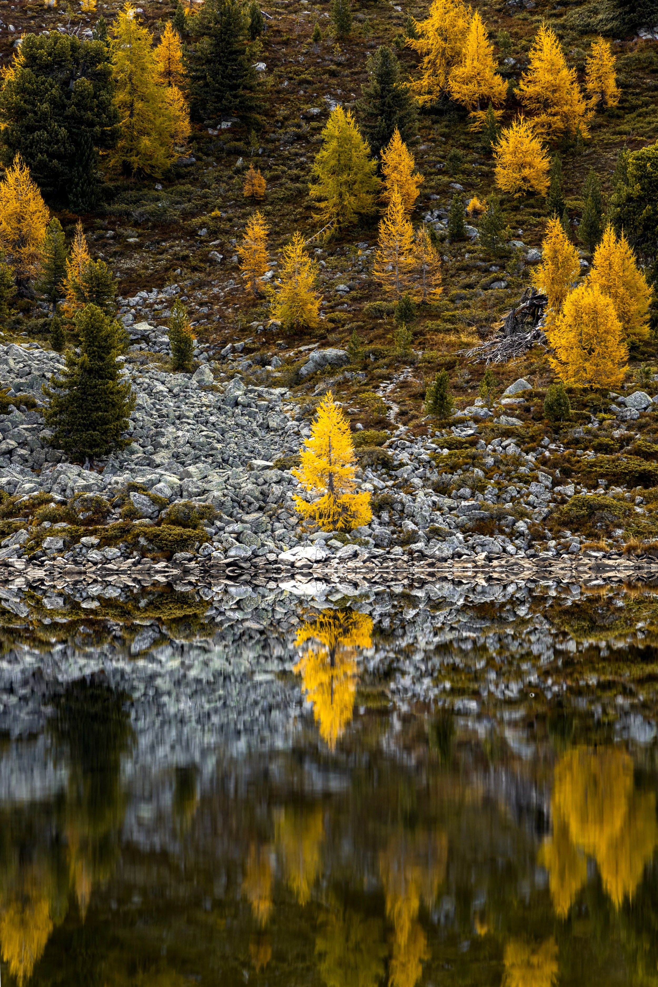 2022-10-16 Lac de Tracouet (5).jpg