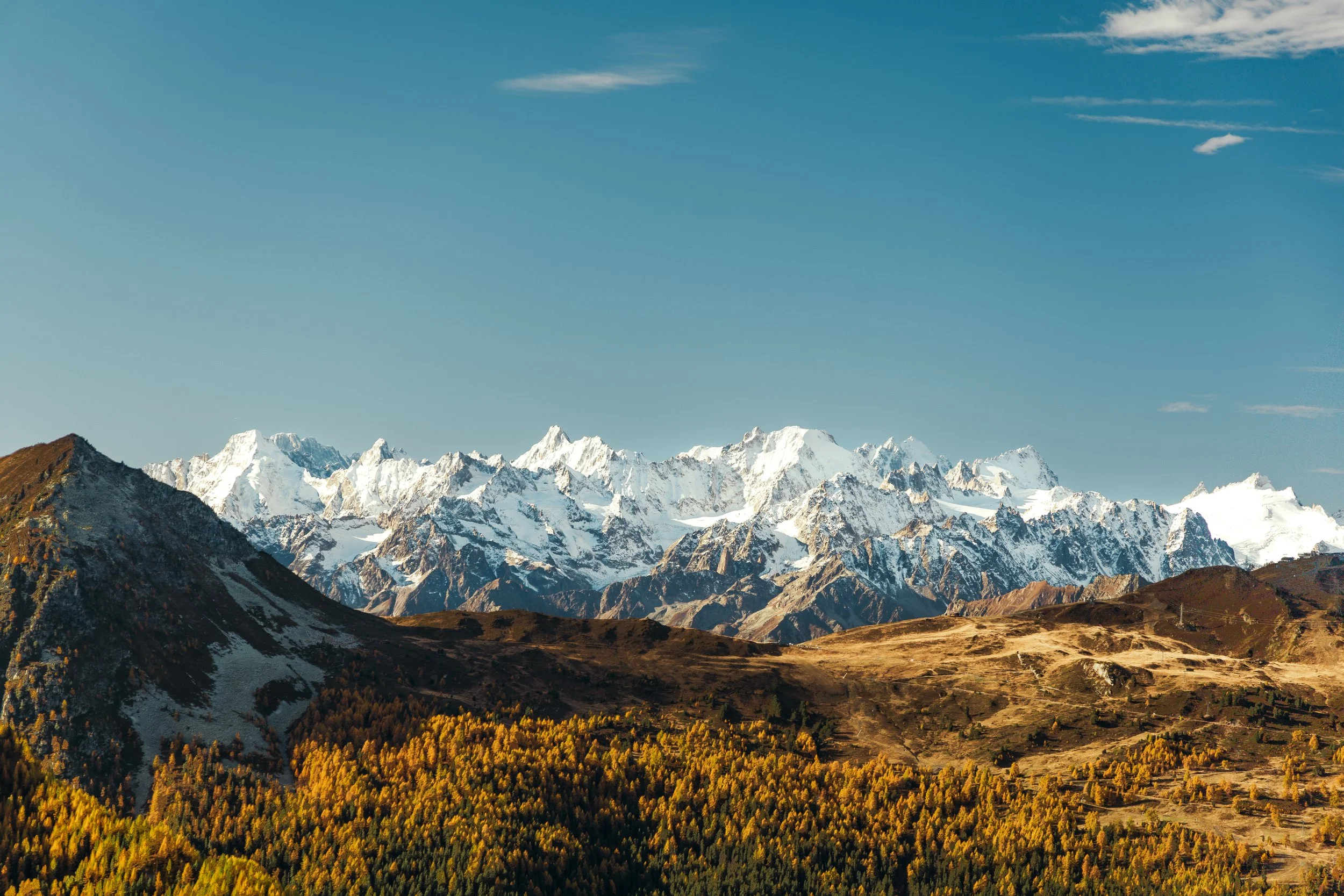 2022-10-16 Autumn Vibes (1).jpg