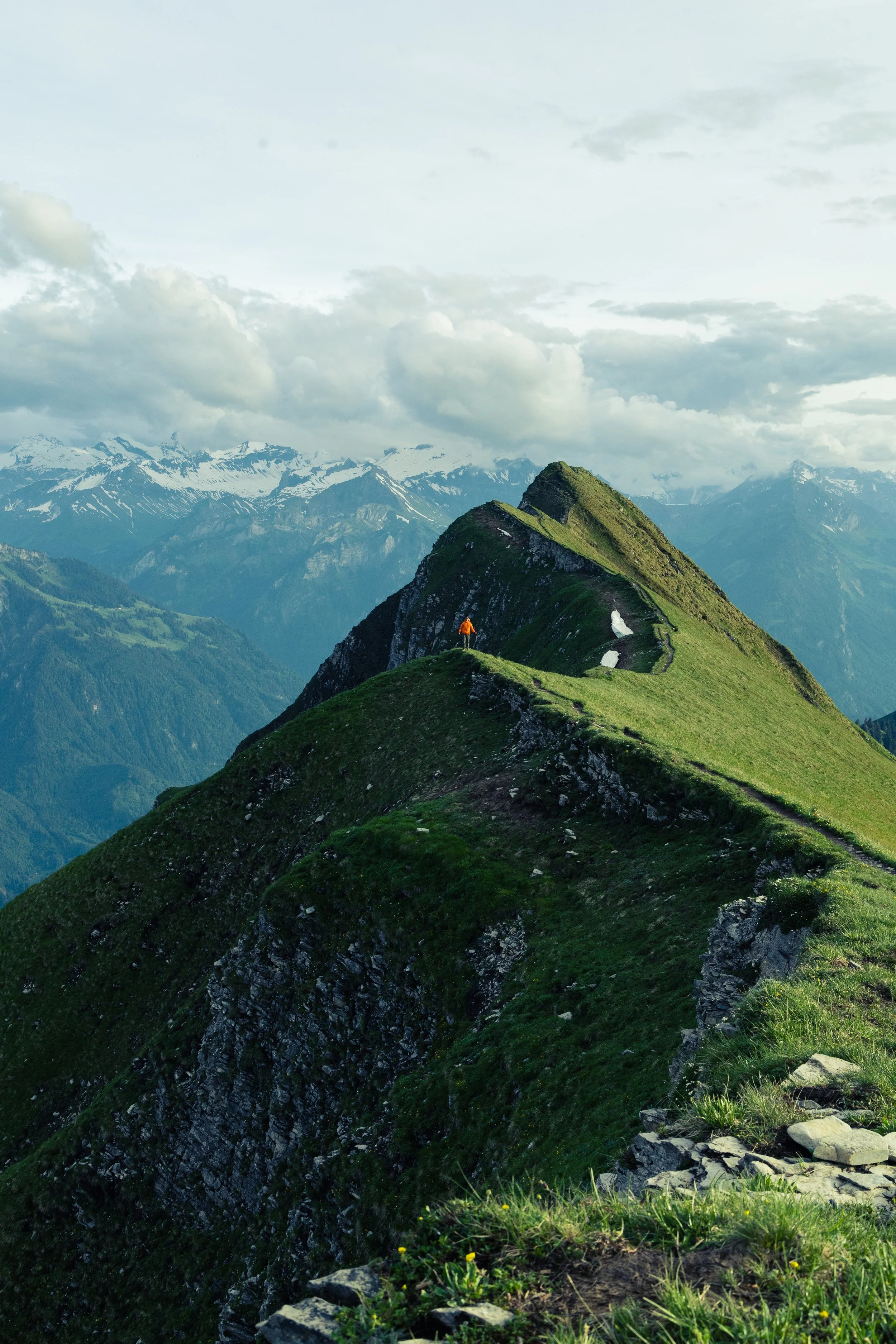 2024-6-16 Tiny (2 of 2).jpg