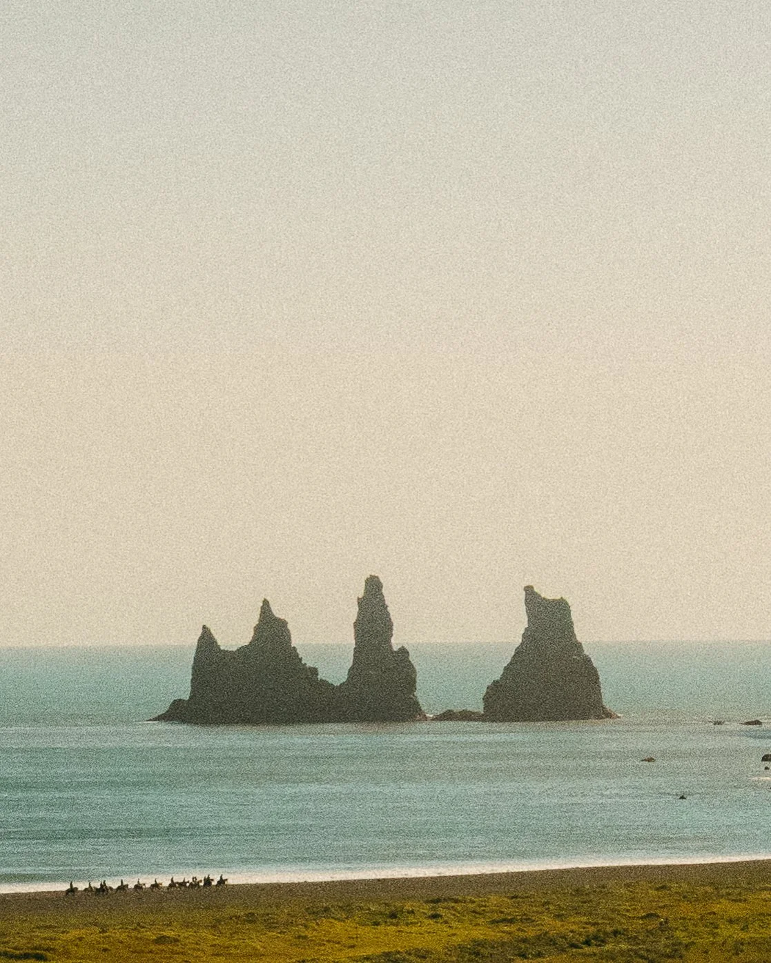 2026-7-4 South Coast Roadtrip 4x5-1.jpg
