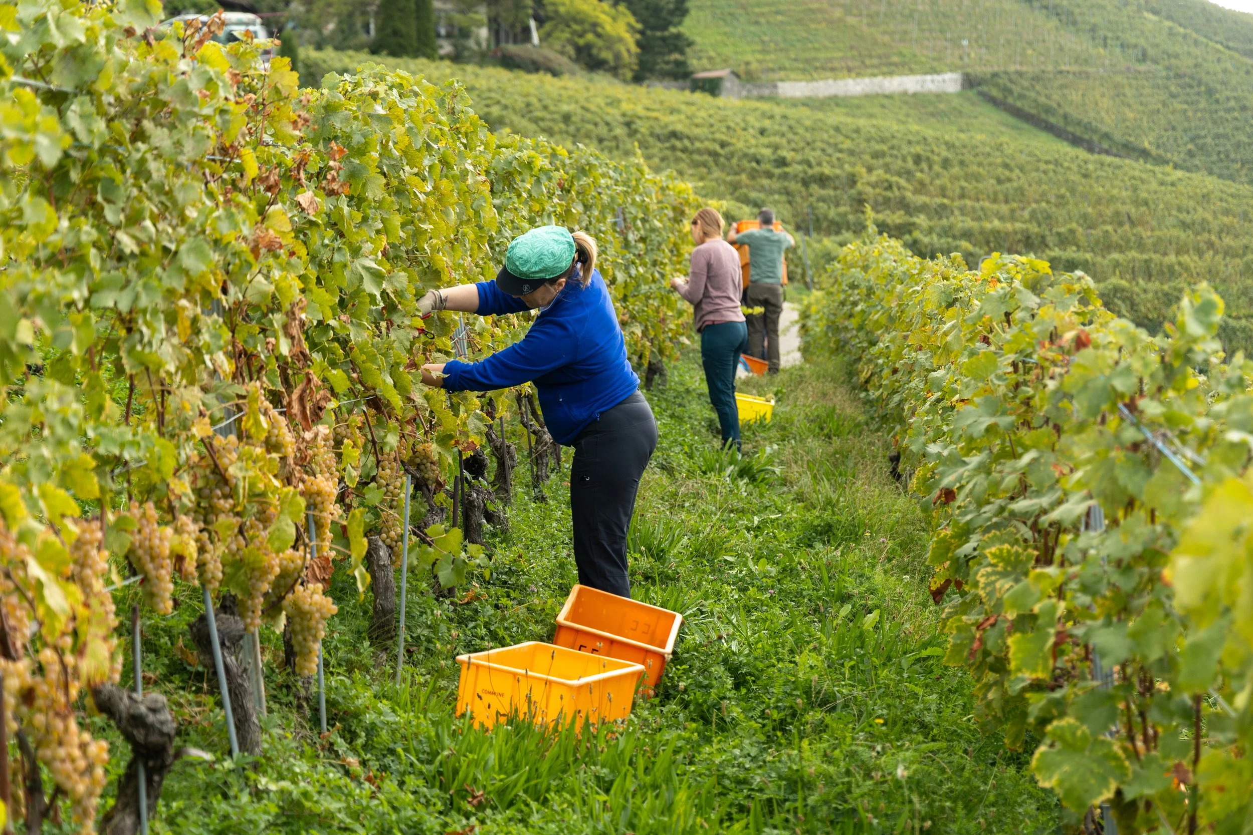 2023-9-30 Harvest Masterclass-182.jpg