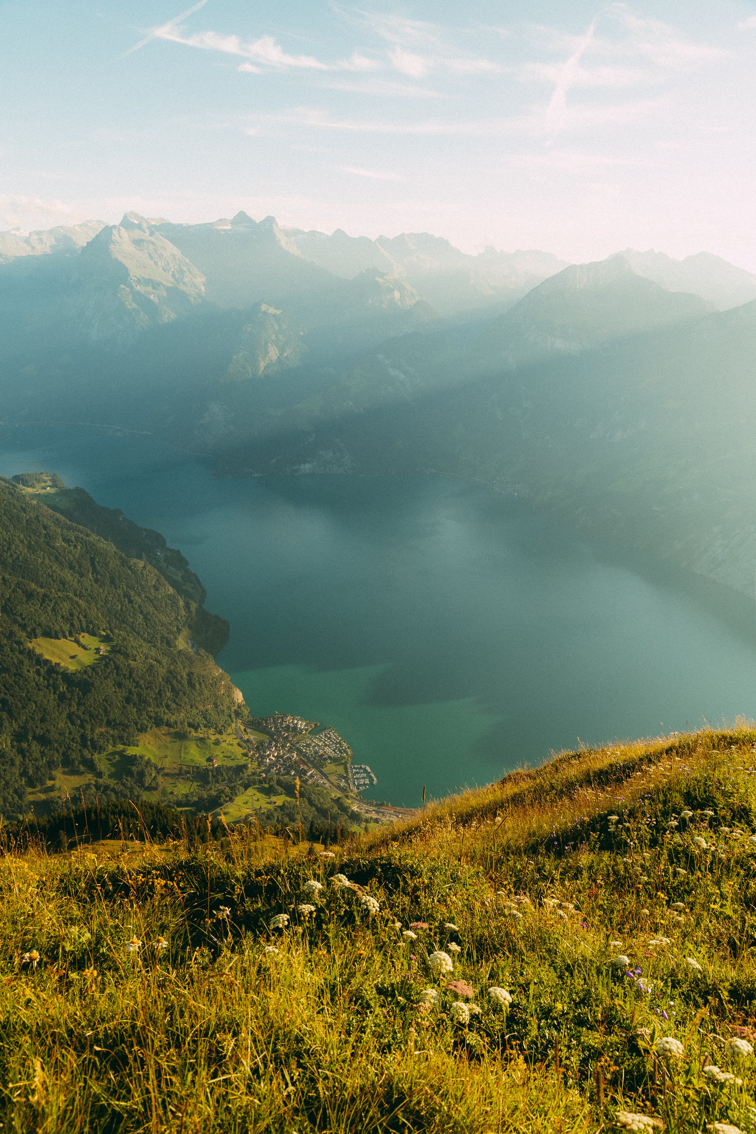 2025-7- 18 Set 2  (7 of 10).jpg