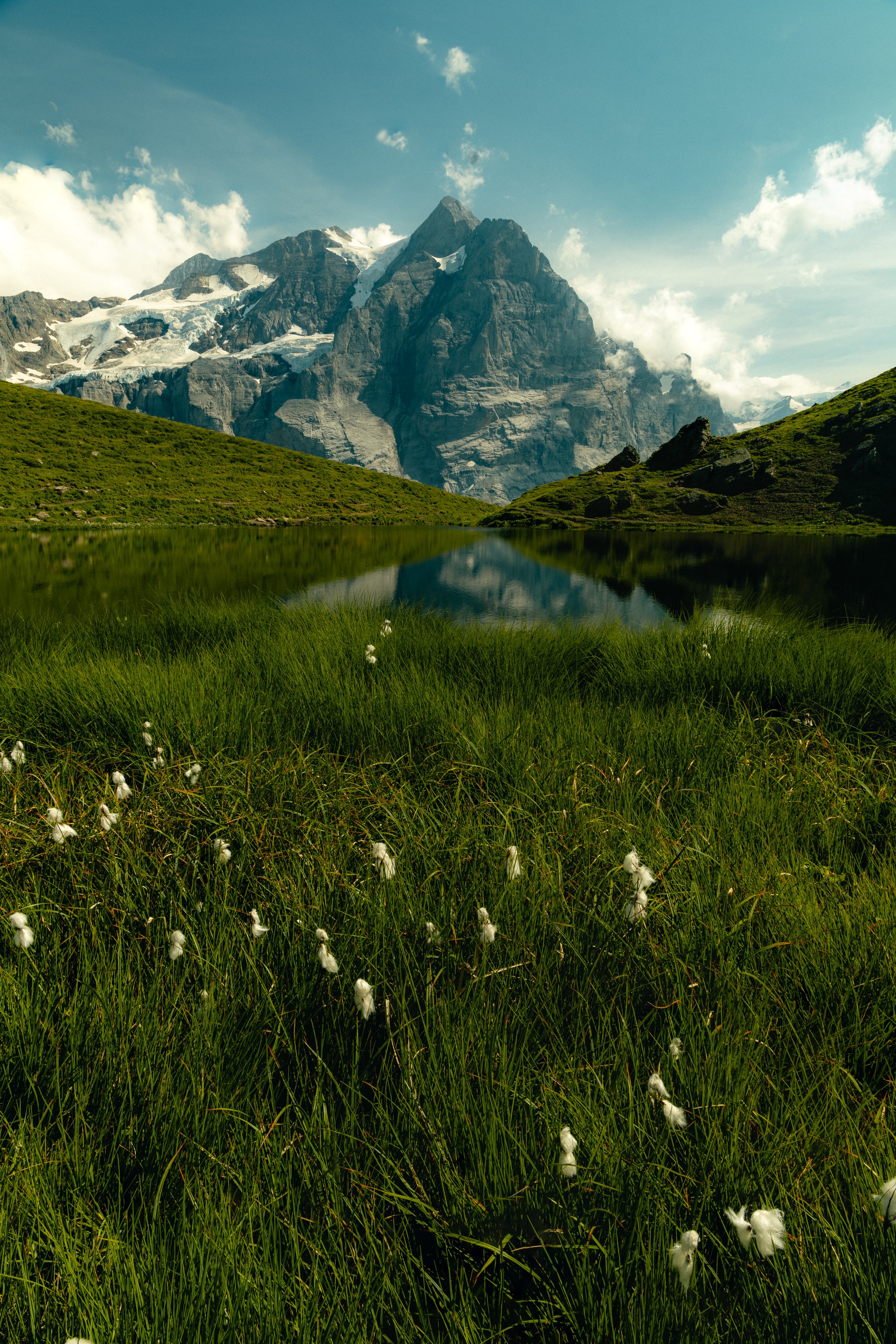 2024-8-11 Hornseewli  (1 of 1).jpg