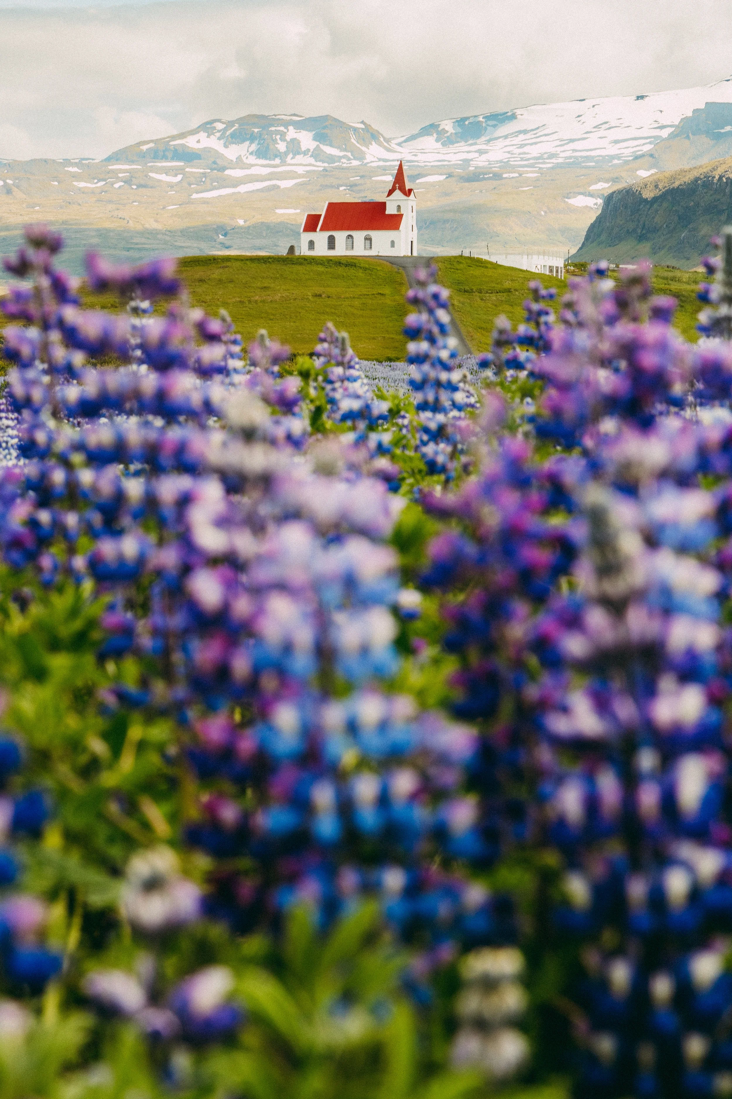 2026-6-26 Snaefellsnes Peninsula-58.jpg
