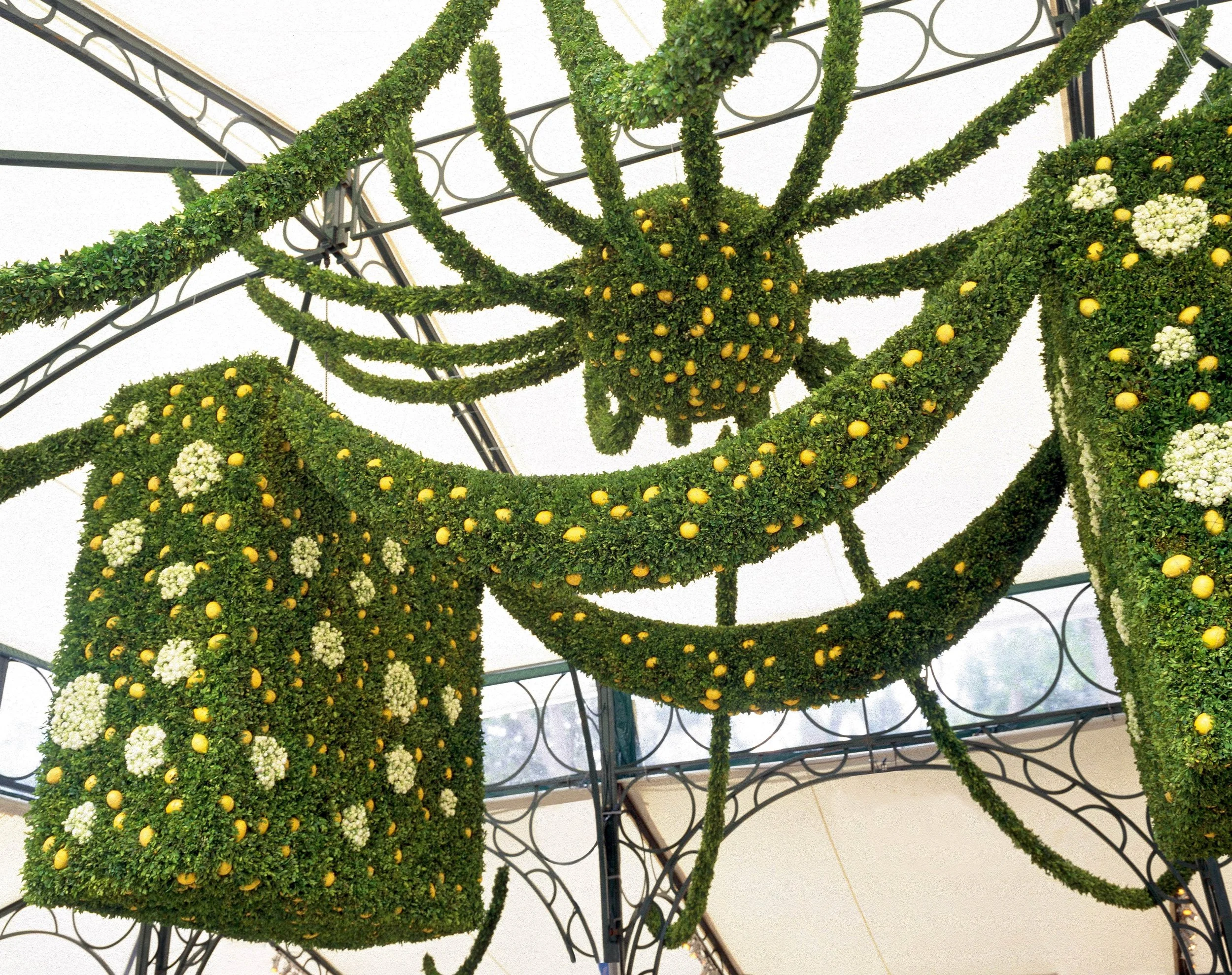 Floral ceiling design with lemon-inspired greenery cubes at an elegant wedding celebration by Daniel Ost.