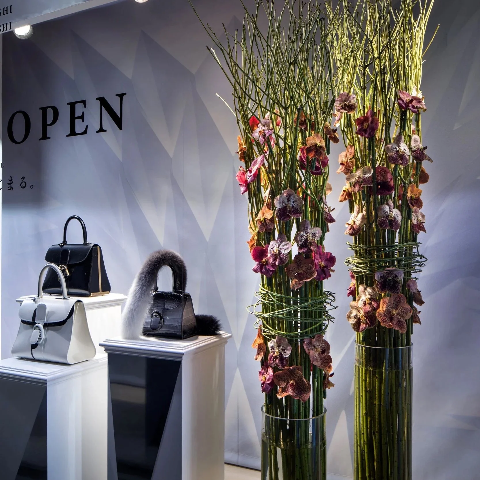 Daniel Ost orchid floral installation for luxury fashion boutique window display.