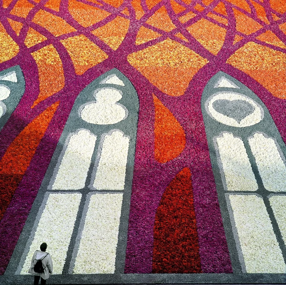 Vibrant flower carpet in geometric cathedral window design, created with thousands of petals in orange, red, pink, and white tones for a large-scale floral event.