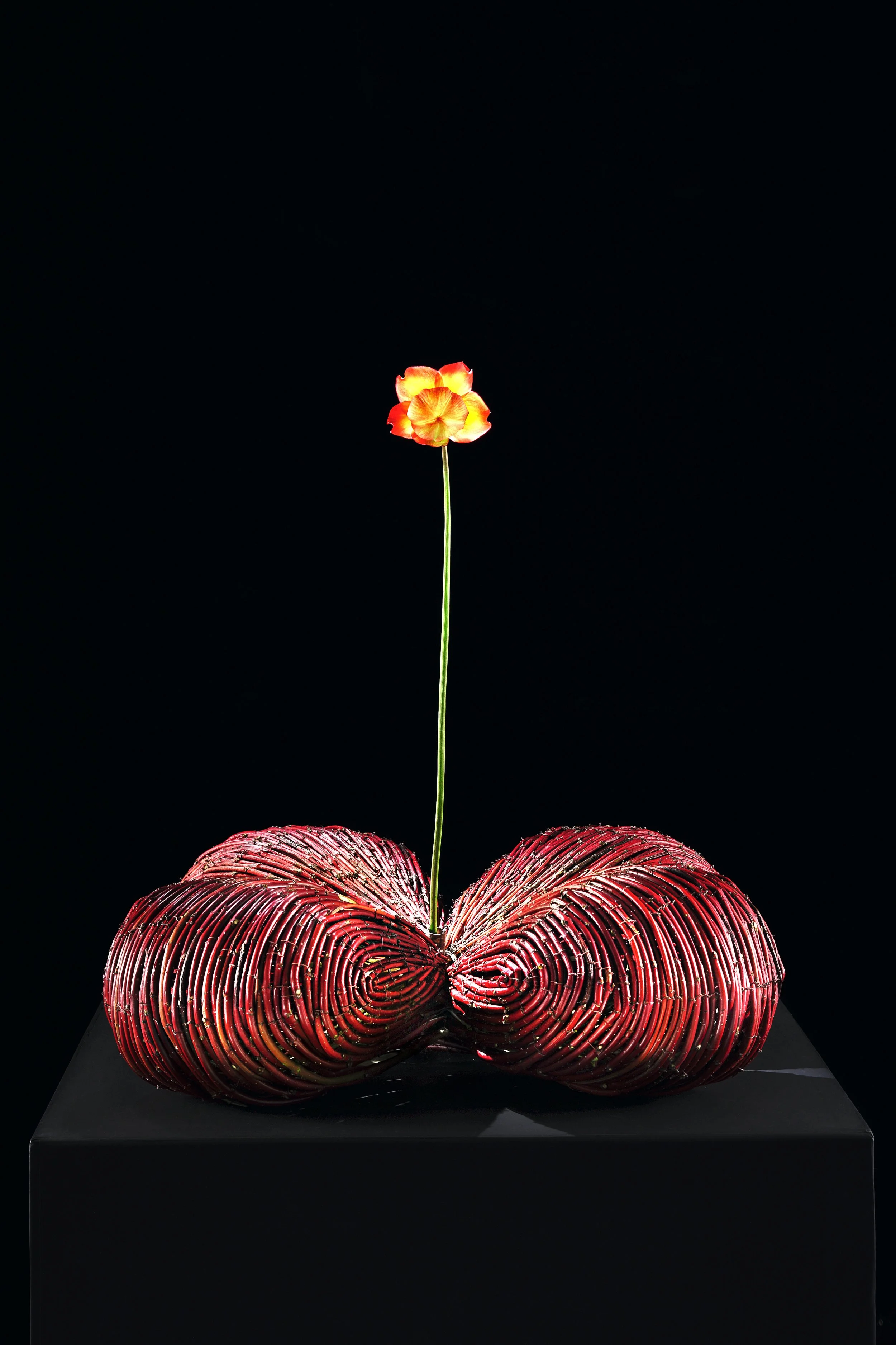 Minimalist art arrangement with 1 single flowers