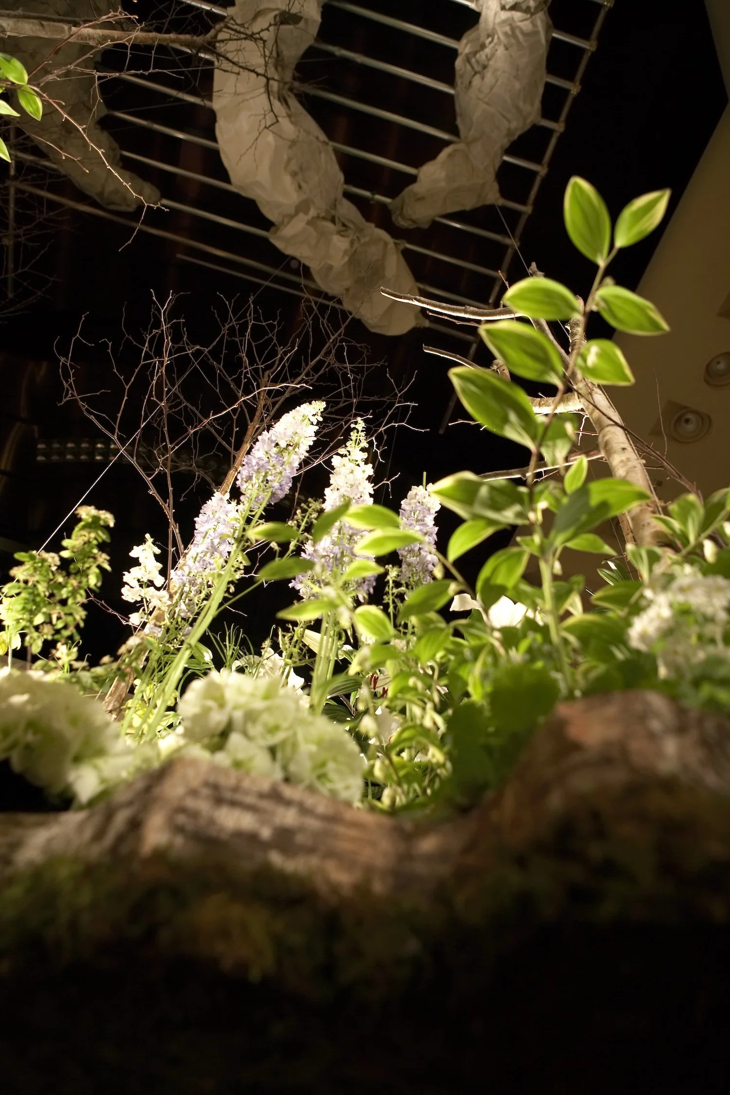 070315_-070.jpg
