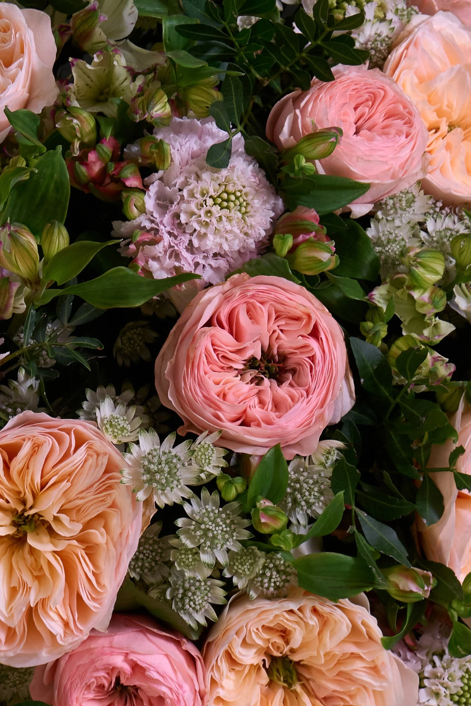 4. Tender Elegance Detail A.jpg