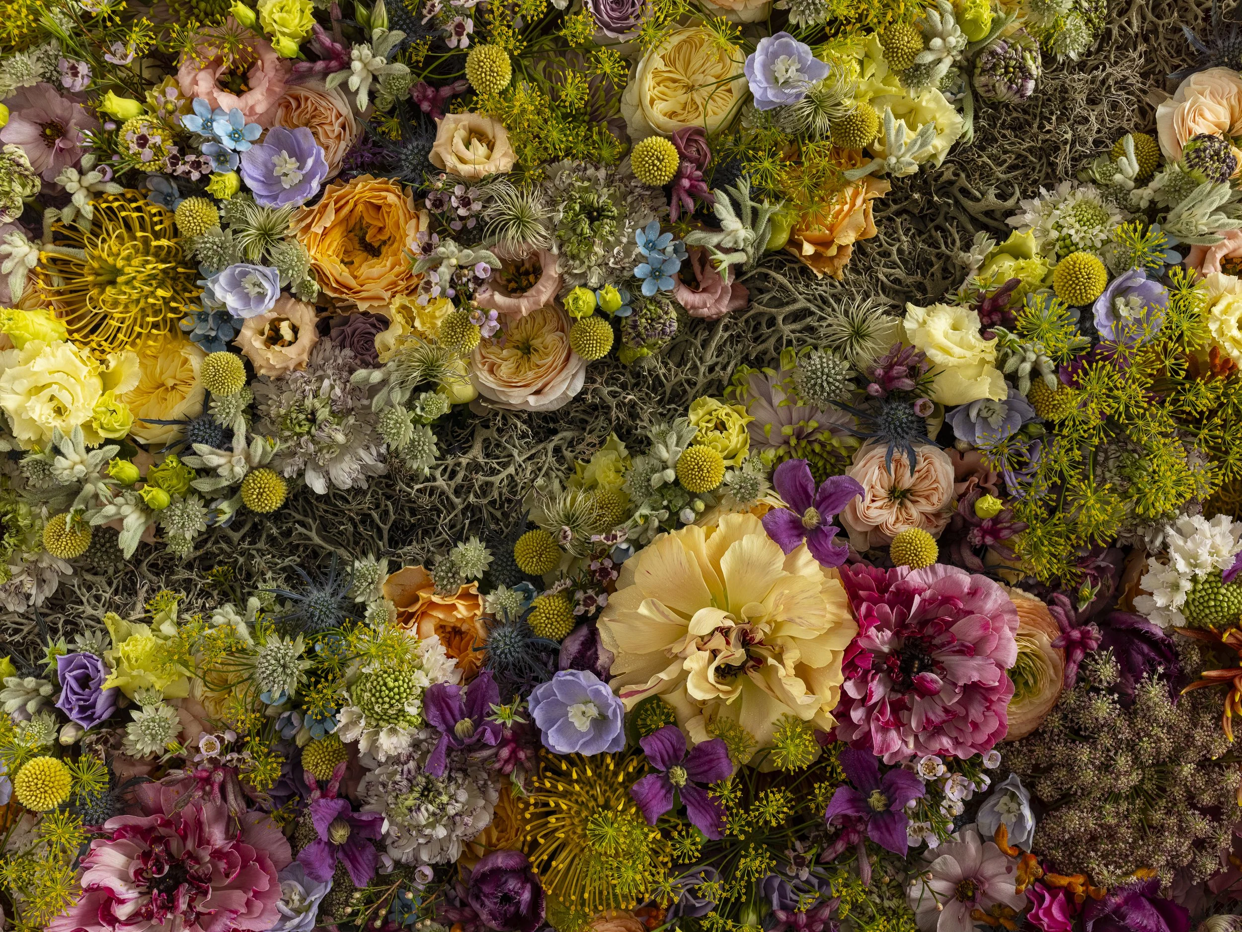 Luxury floral wall with colorful seasonal flowers including roses, ranunculus, and orchids, designed for a Corinthia Brussels