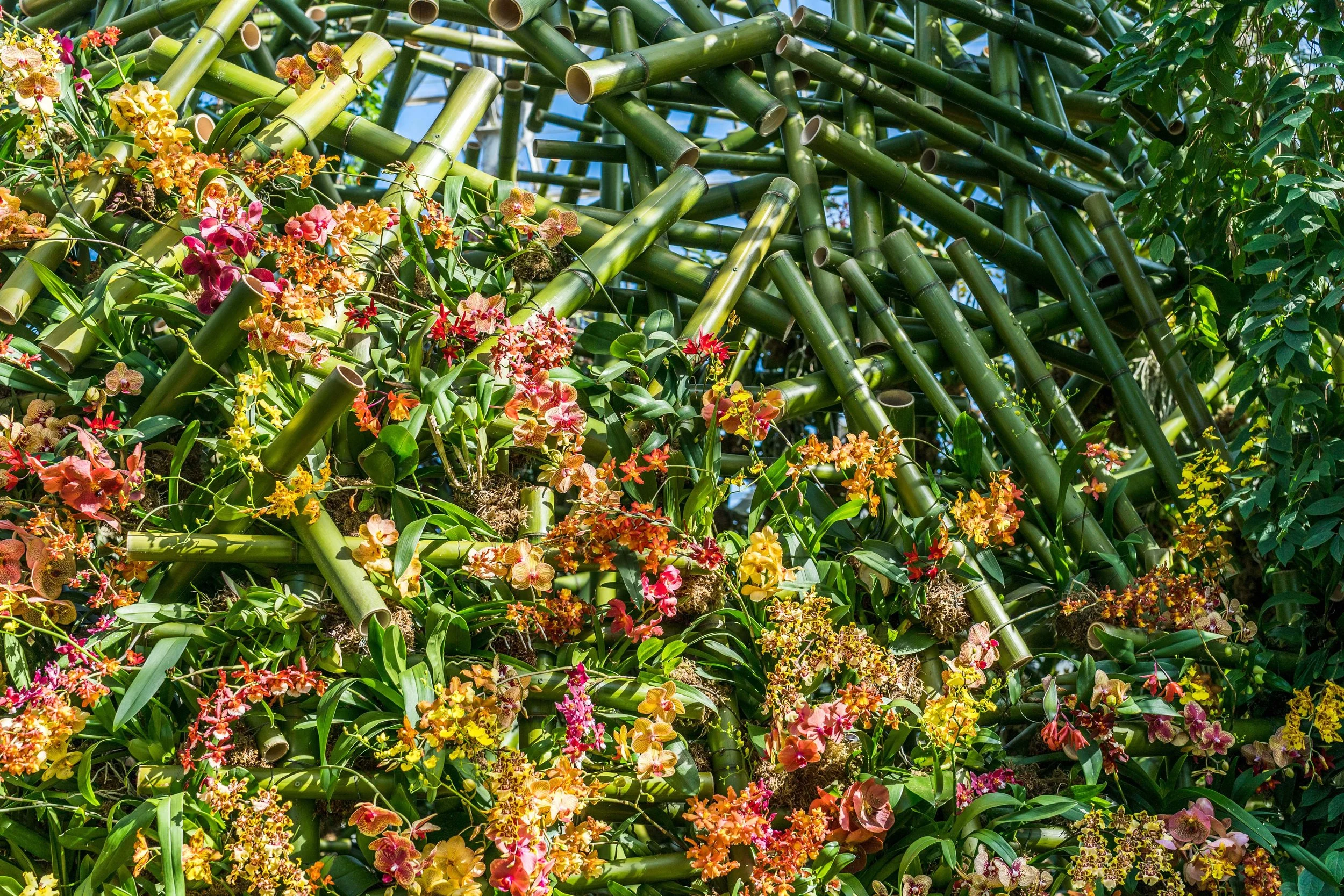 NYBG_The_Orchid_Show_2018_6.jpg