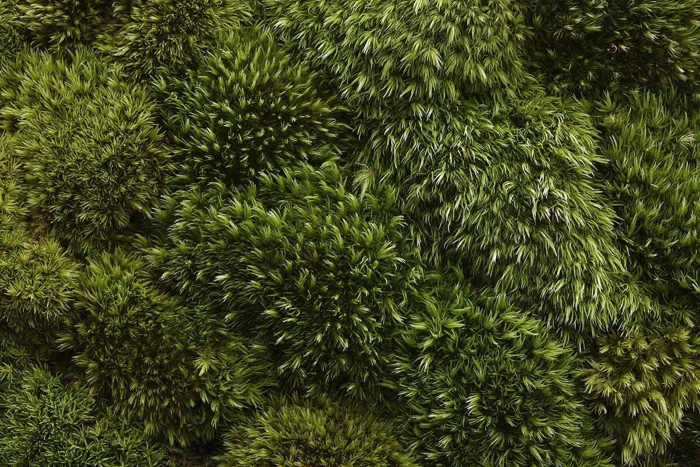 _K6B122701.jpg