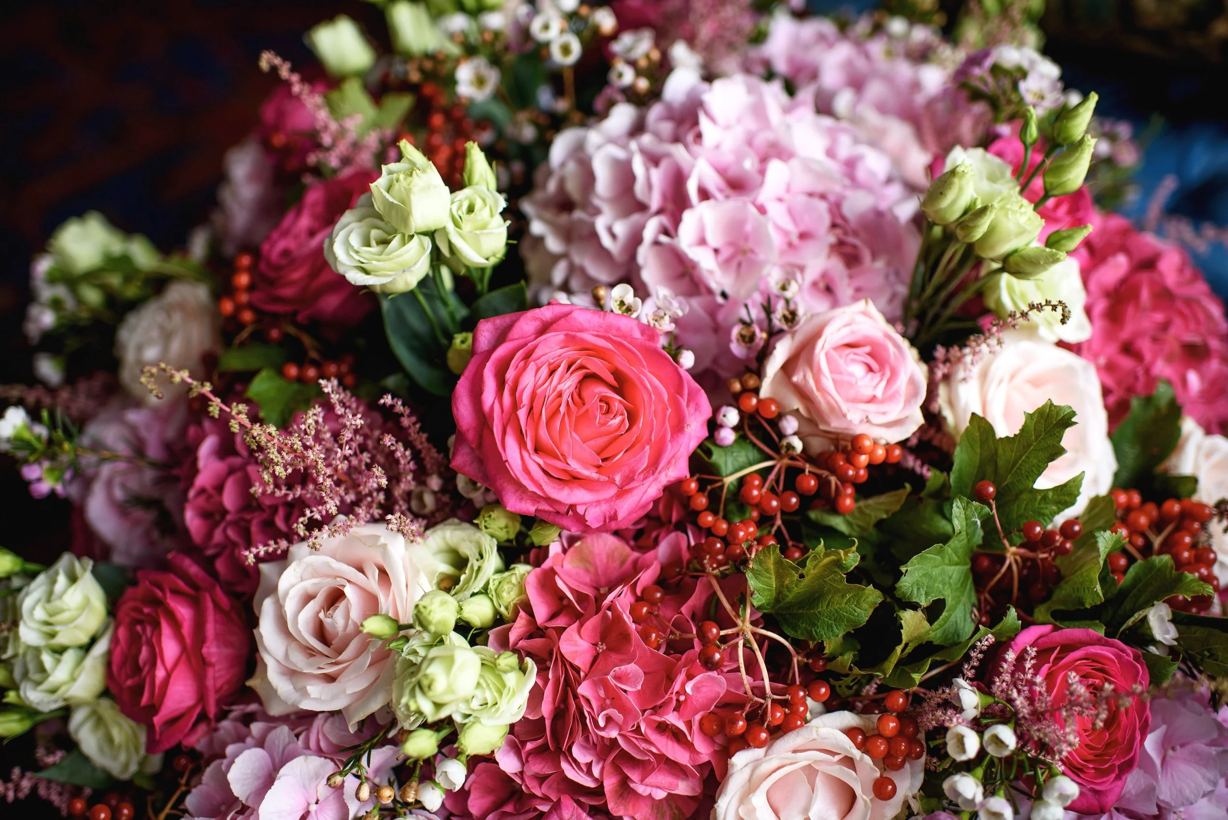 Closeup flower color.jpg