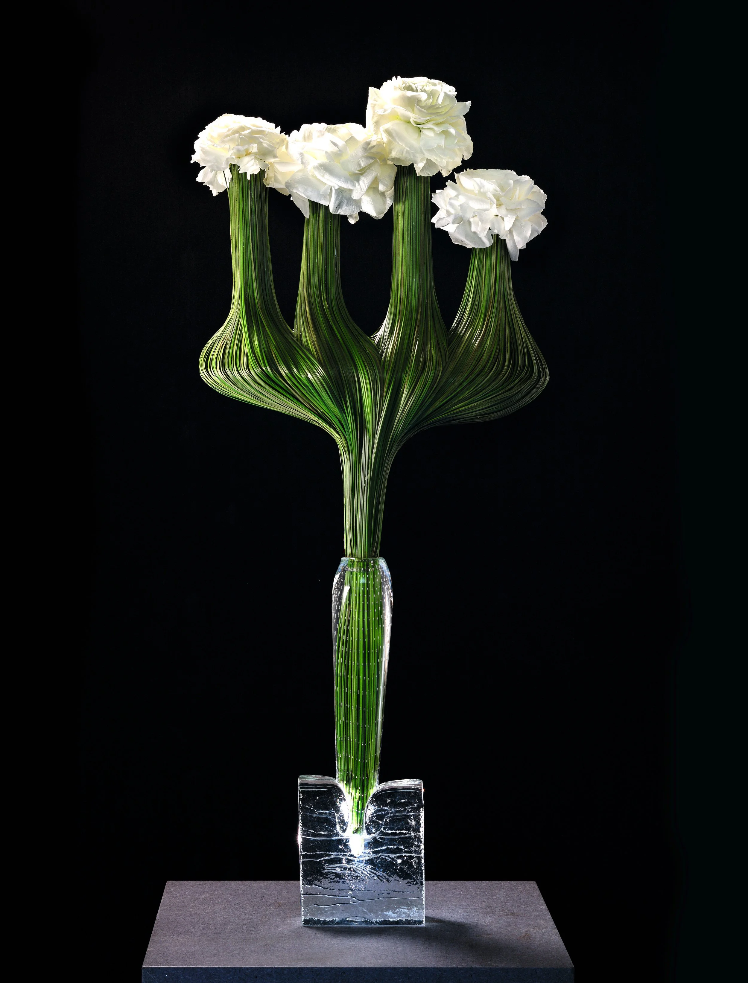 Minimalist sculptural floral design with white carnations extending from tightly bound green stems in a clear glass vase.