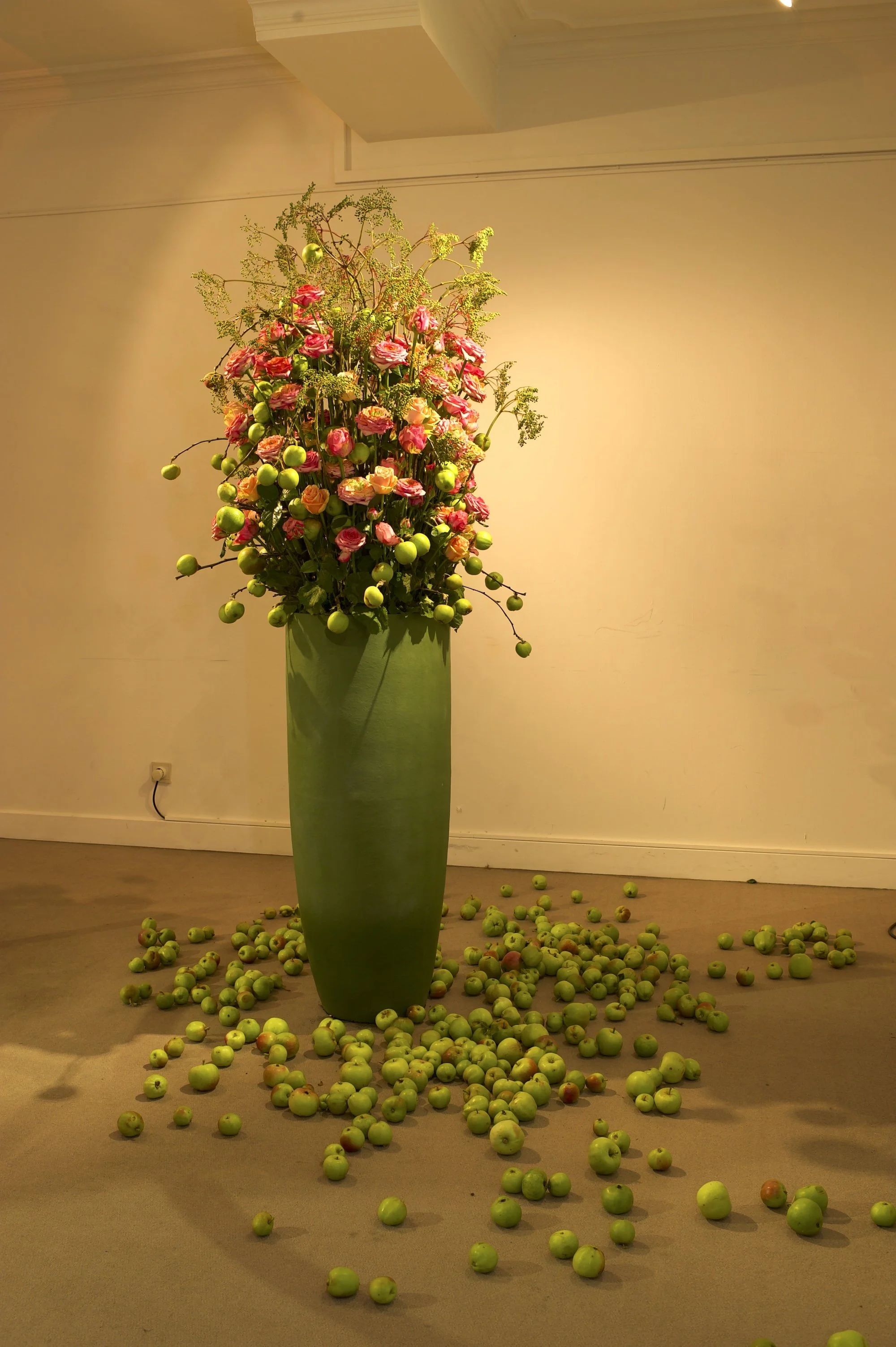 _DSC0039.jpeg