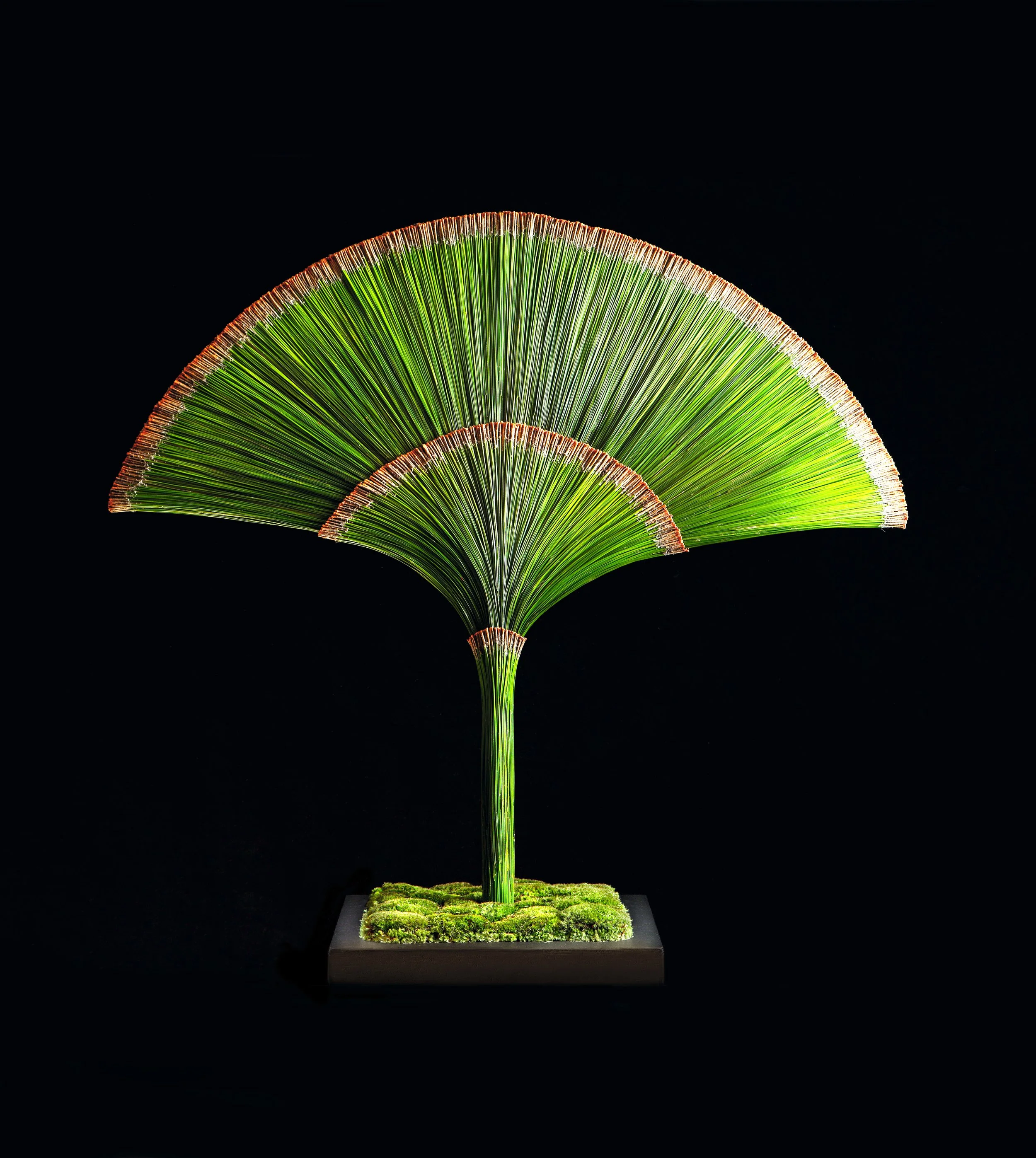 Architectural green fan-shaped floral installation created with layered leaves and fine weaving, mounted on a moss-covered base.
