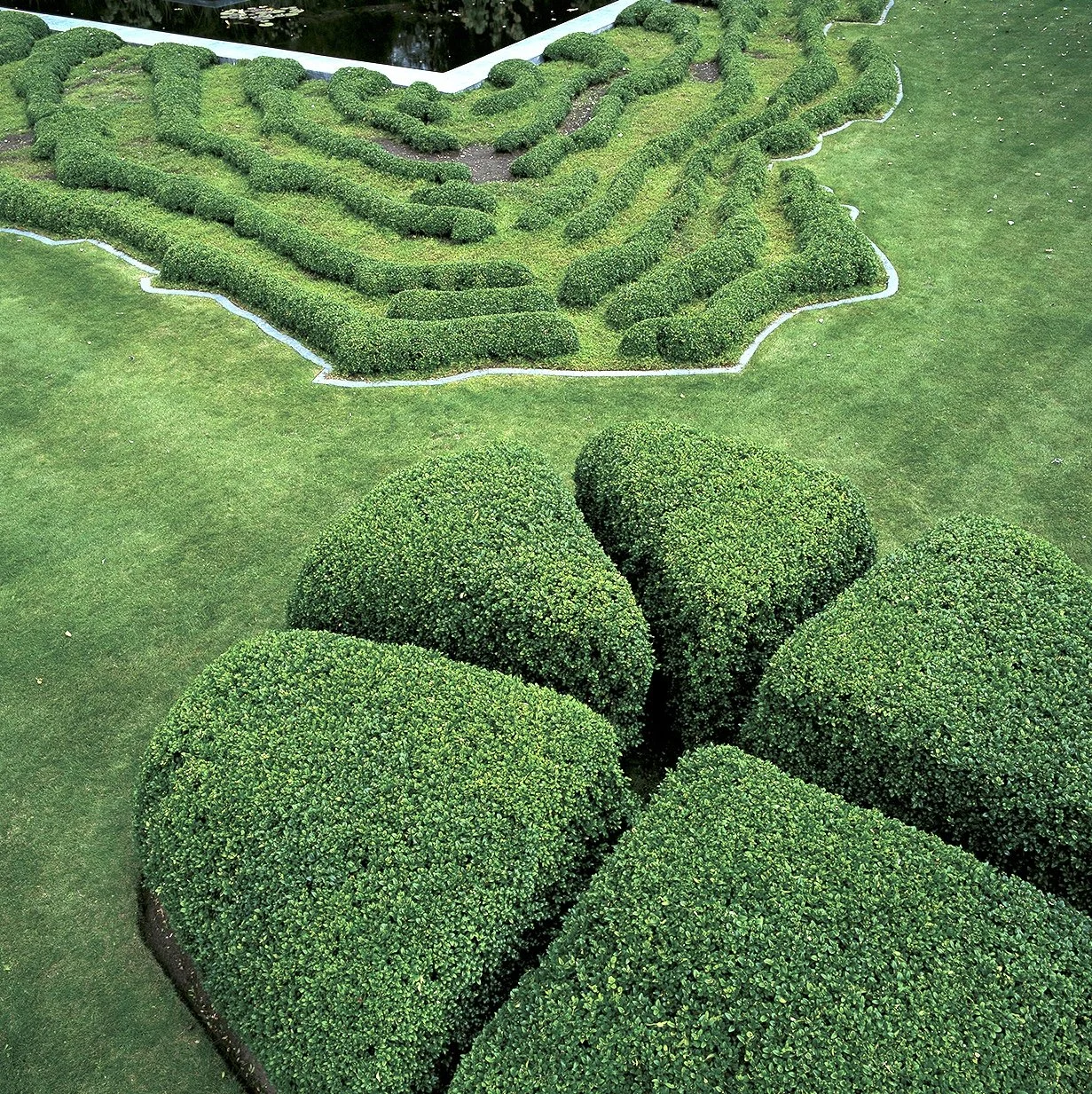 Sculptural topiary garden with undulating green hedge formations and organic shapes integrated into a lawn.