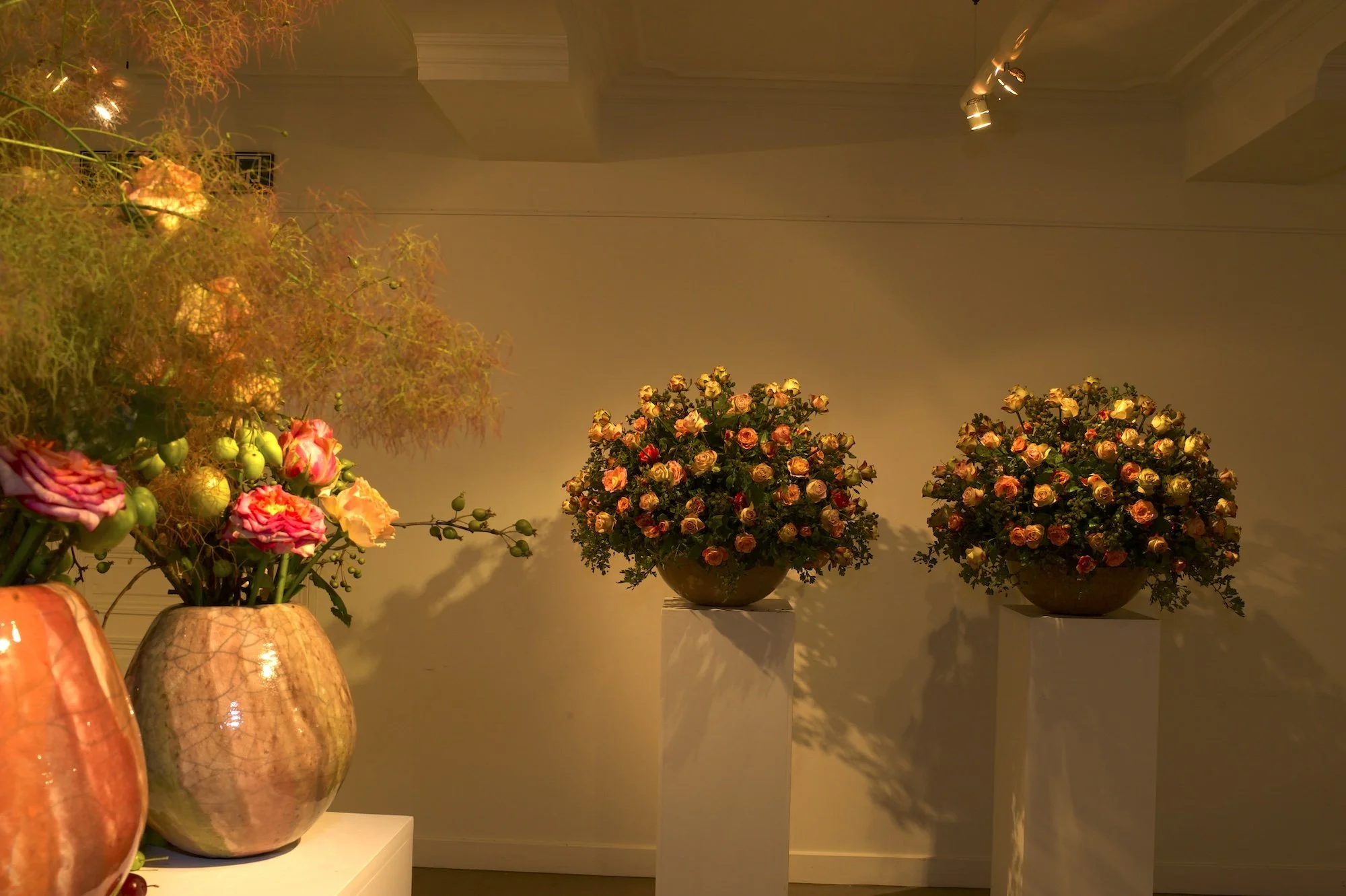_DSC0057.jpeg