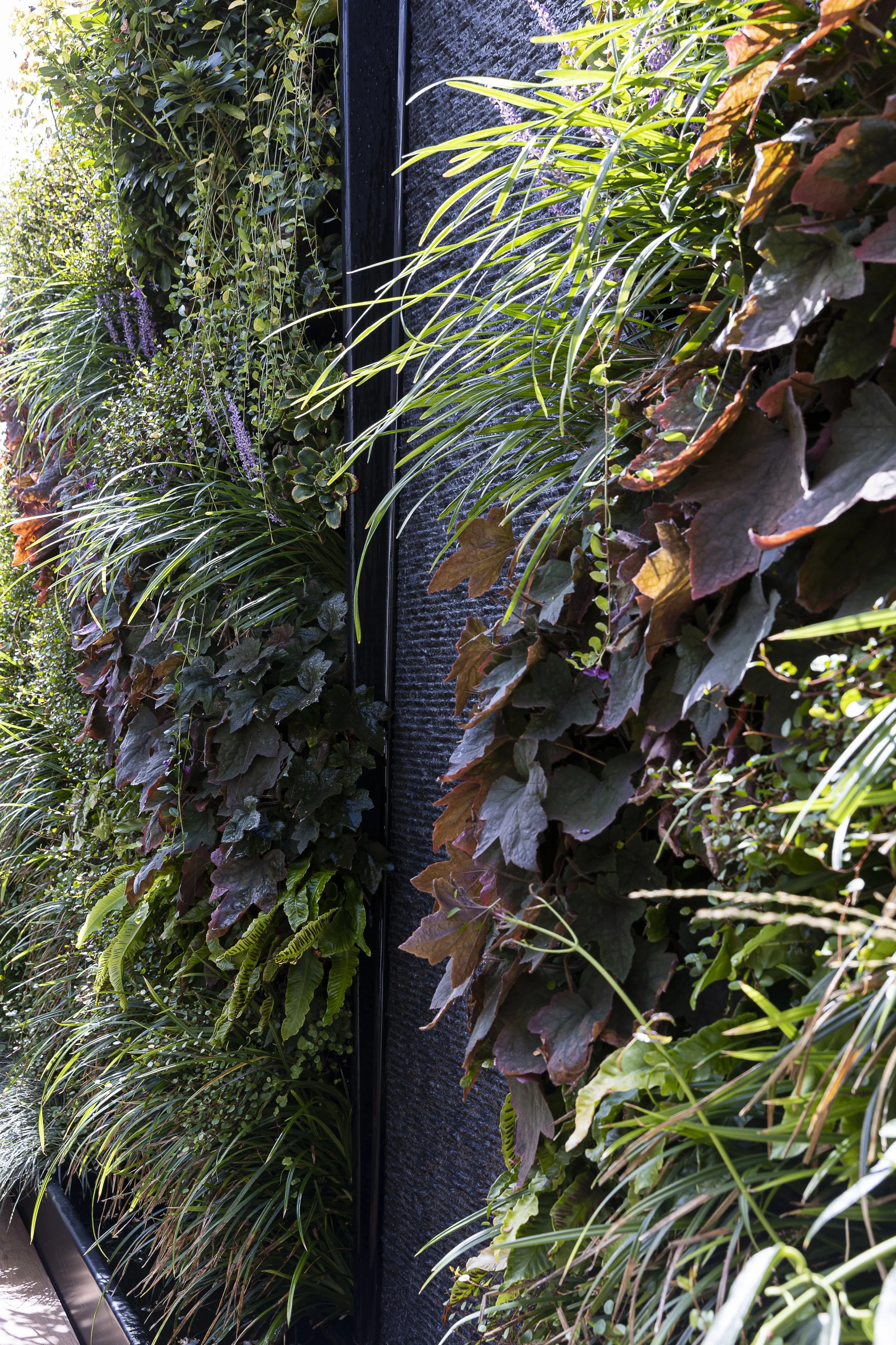 Swinnenstore_Plantenwand_Daniel_Ost_02.jpg