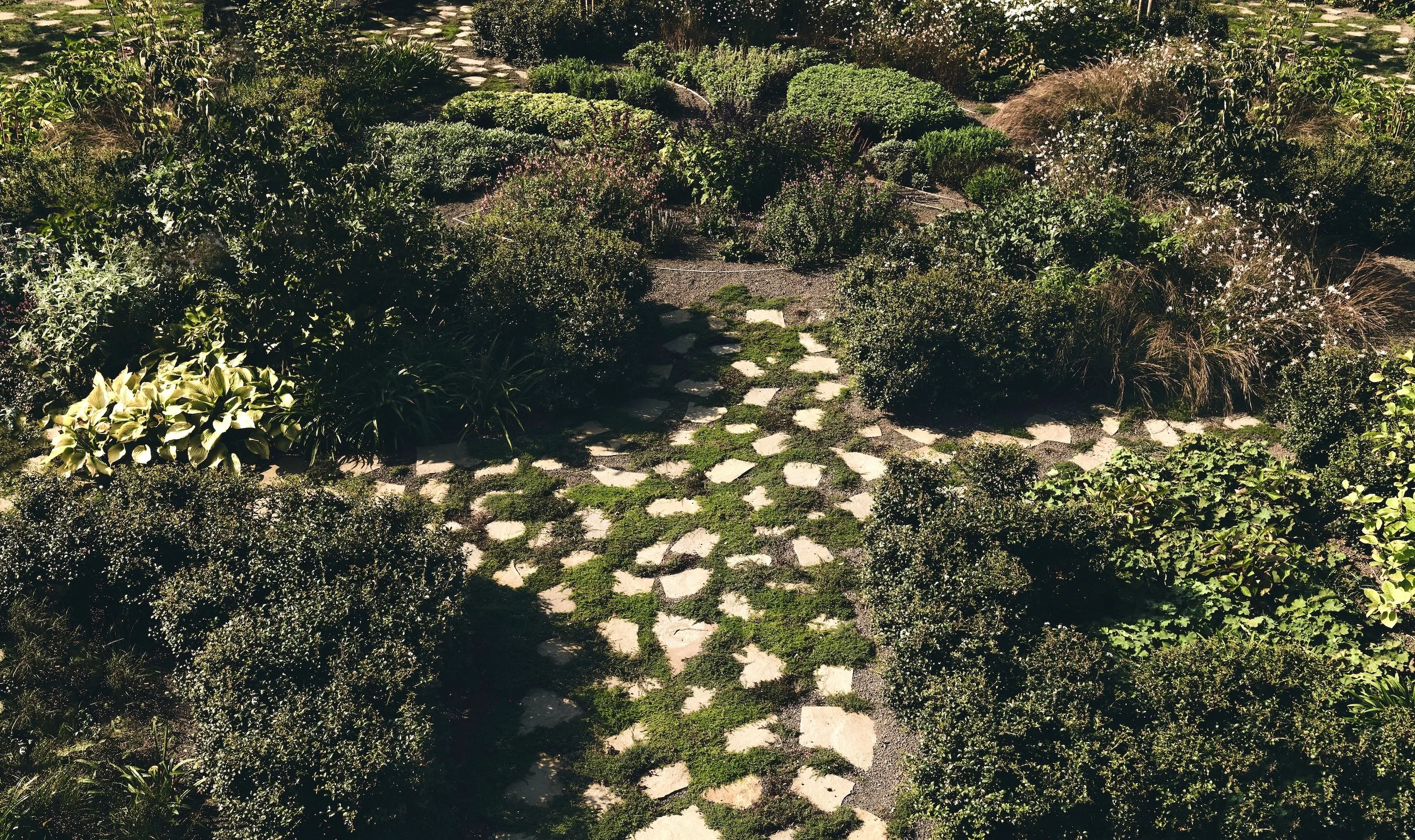 Rustic stone pathway through a naturalistic garden with wild shrubs, textured grasses, and informal planting design.