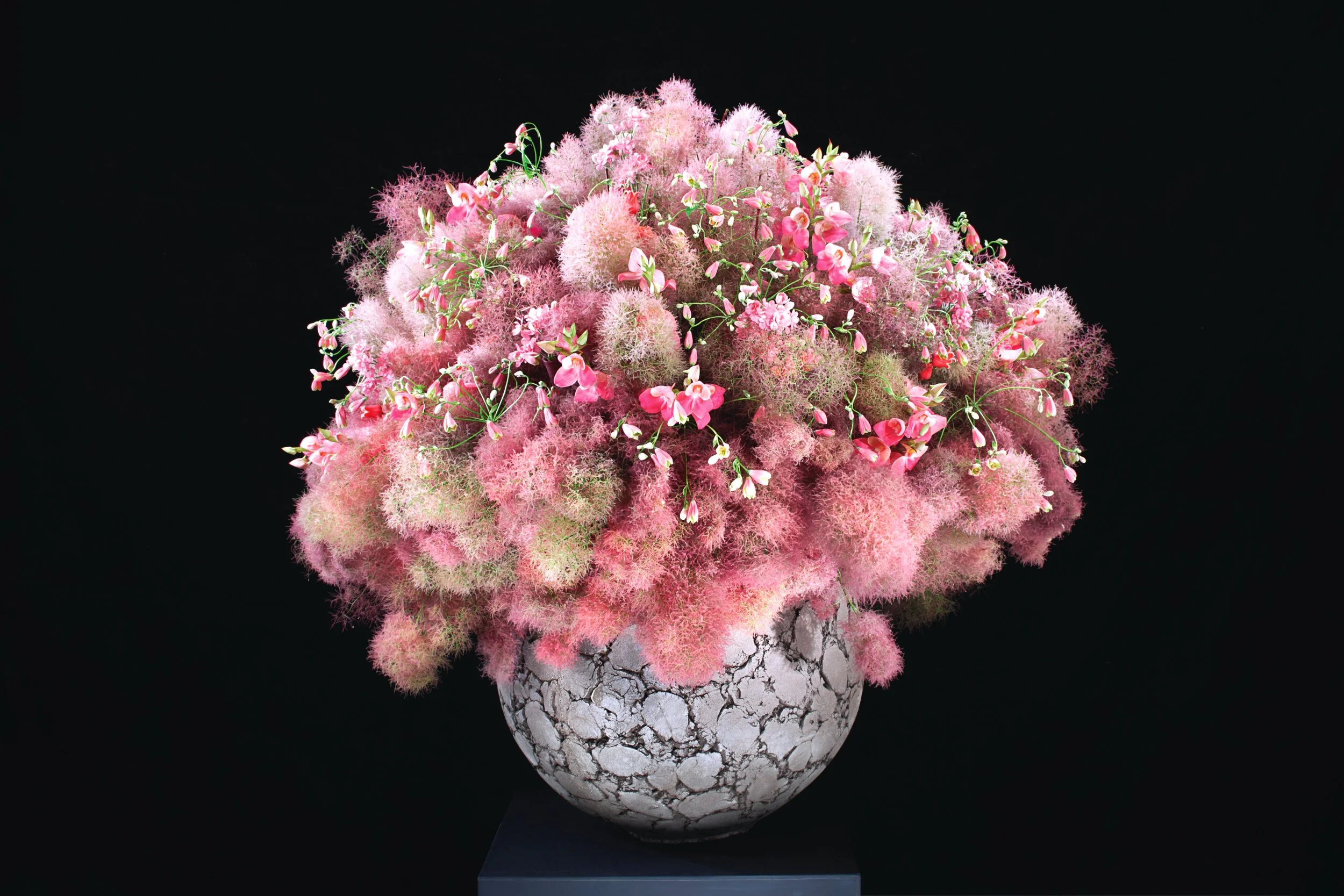 Daniel Ost floral artistry with sculptural pink smokebush arrangement in textured vase.