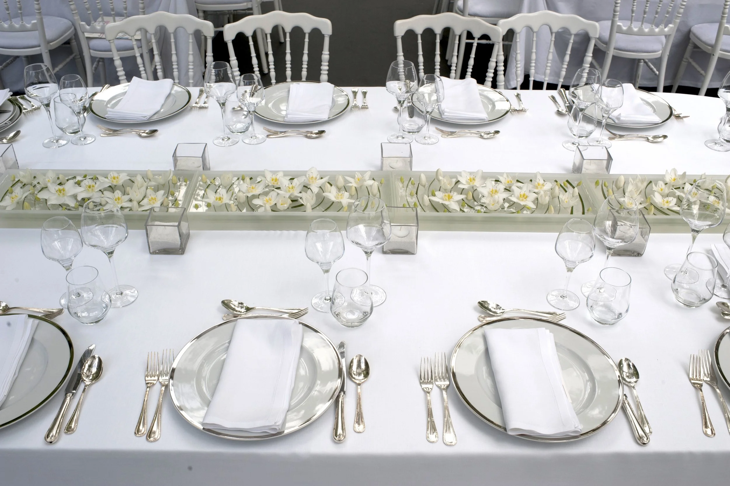 Elegant wedding long table with a minimalist linear centerpiece of white flowers in glass troughs, perfect for an intimate modern celebration.