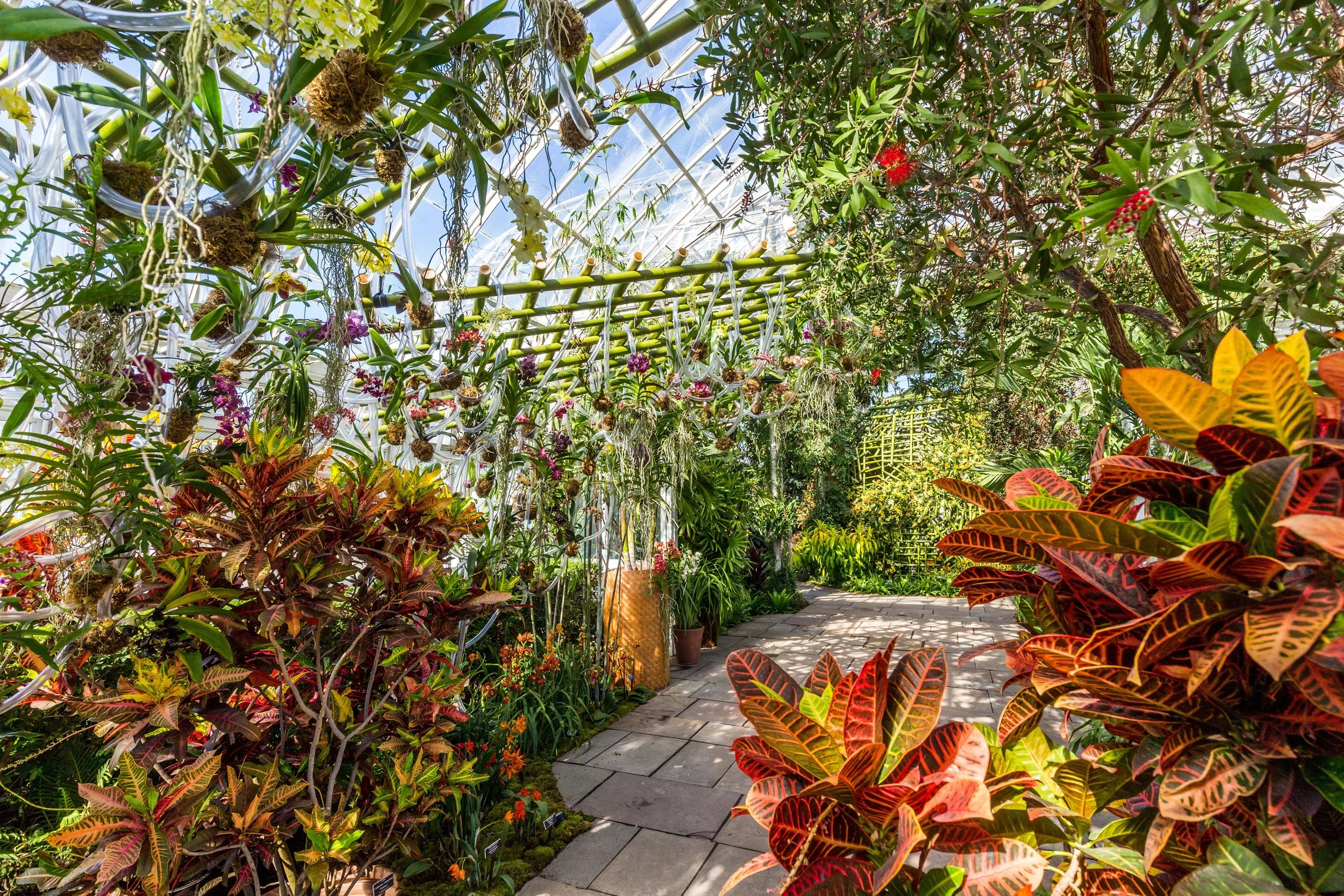 Tropical greenhouse floral installation with orchids, crotons, and hanging air plants creating a lush botanical pathway.