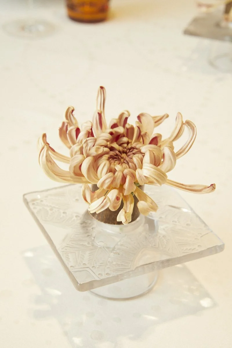 Single chrysanthemum bloom presented as a refined table accent in a clear glass holder, styled for luxury dining.