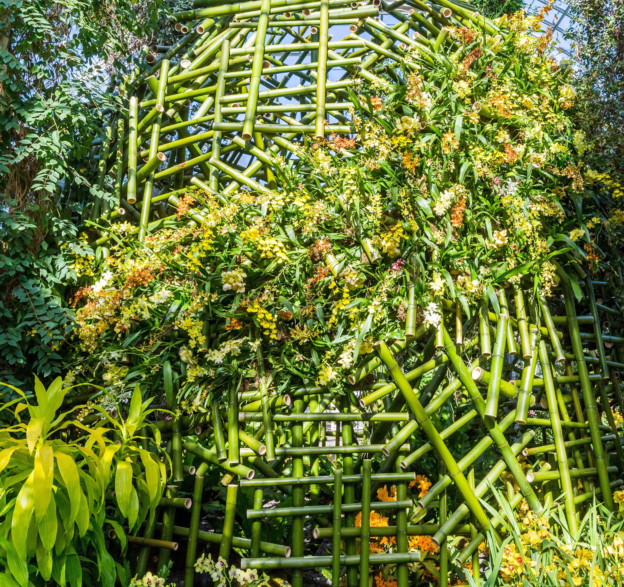 NYBG_The_Orchid_Show_2018_2.jpg