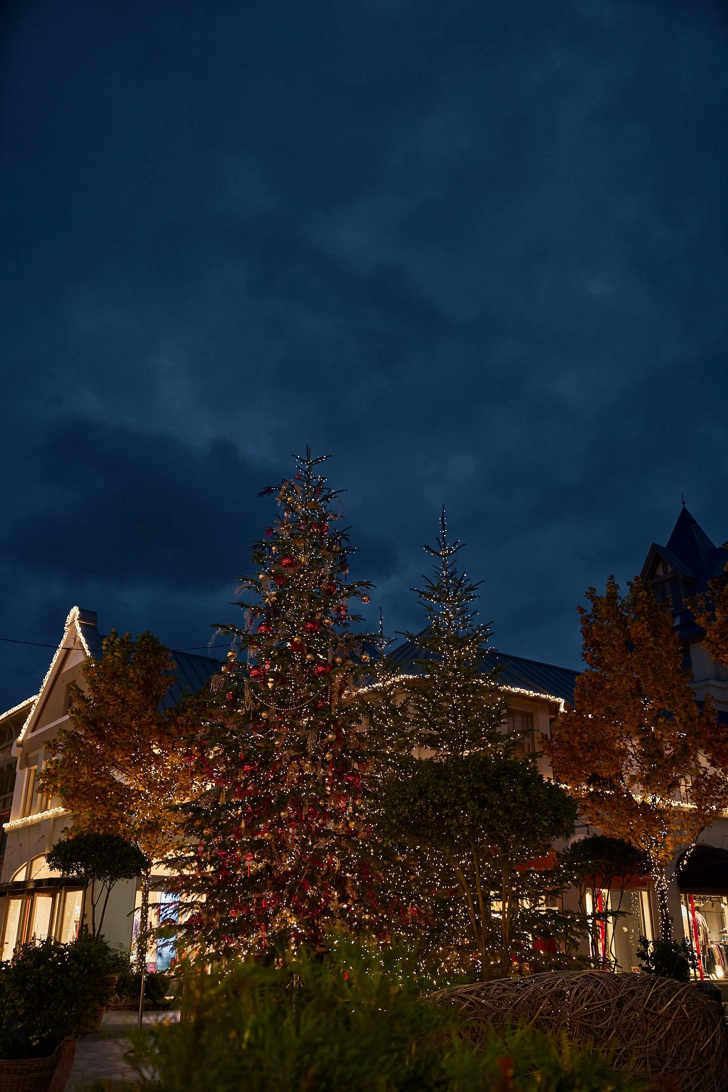 Grand outdoor corporate celebration with towering Christmas trees adorned in red baubles and fairy lights, Daniel Ost luxury floral artistry.