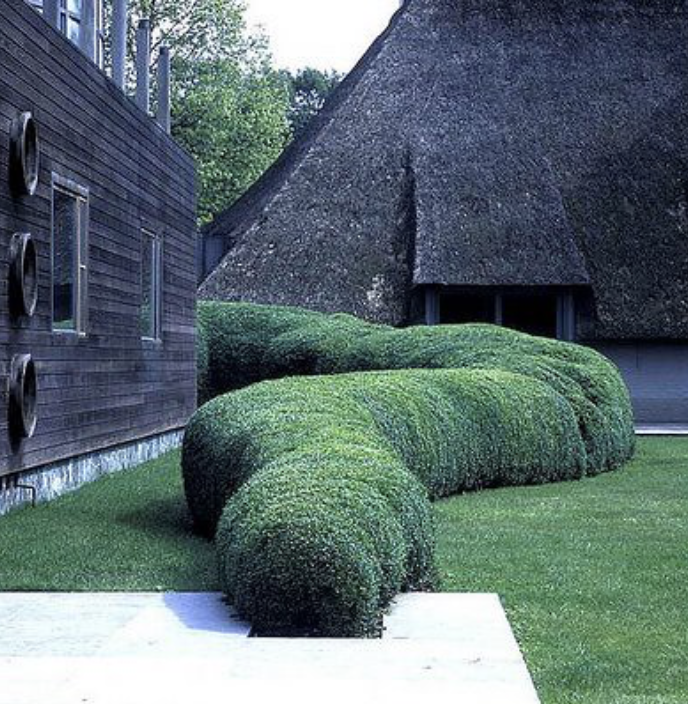 Sculptural hedge design near thatched roof house – Creative organic topiary curves integrated into a modern rural residence with natural wood and thatched roof elements.