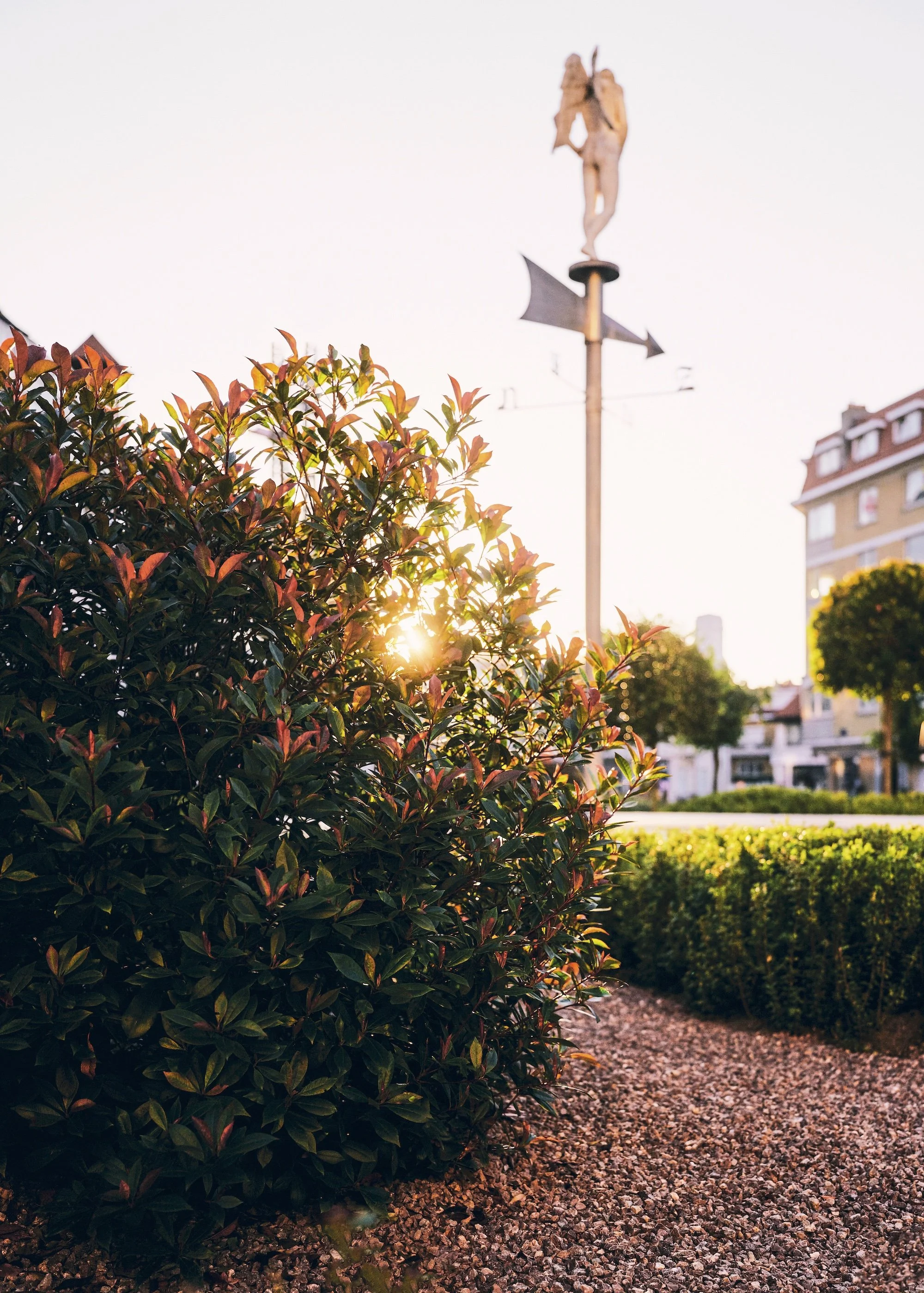 DanielOst_Driehoeksplein©CharlotteLauwersPhotography19.jpg