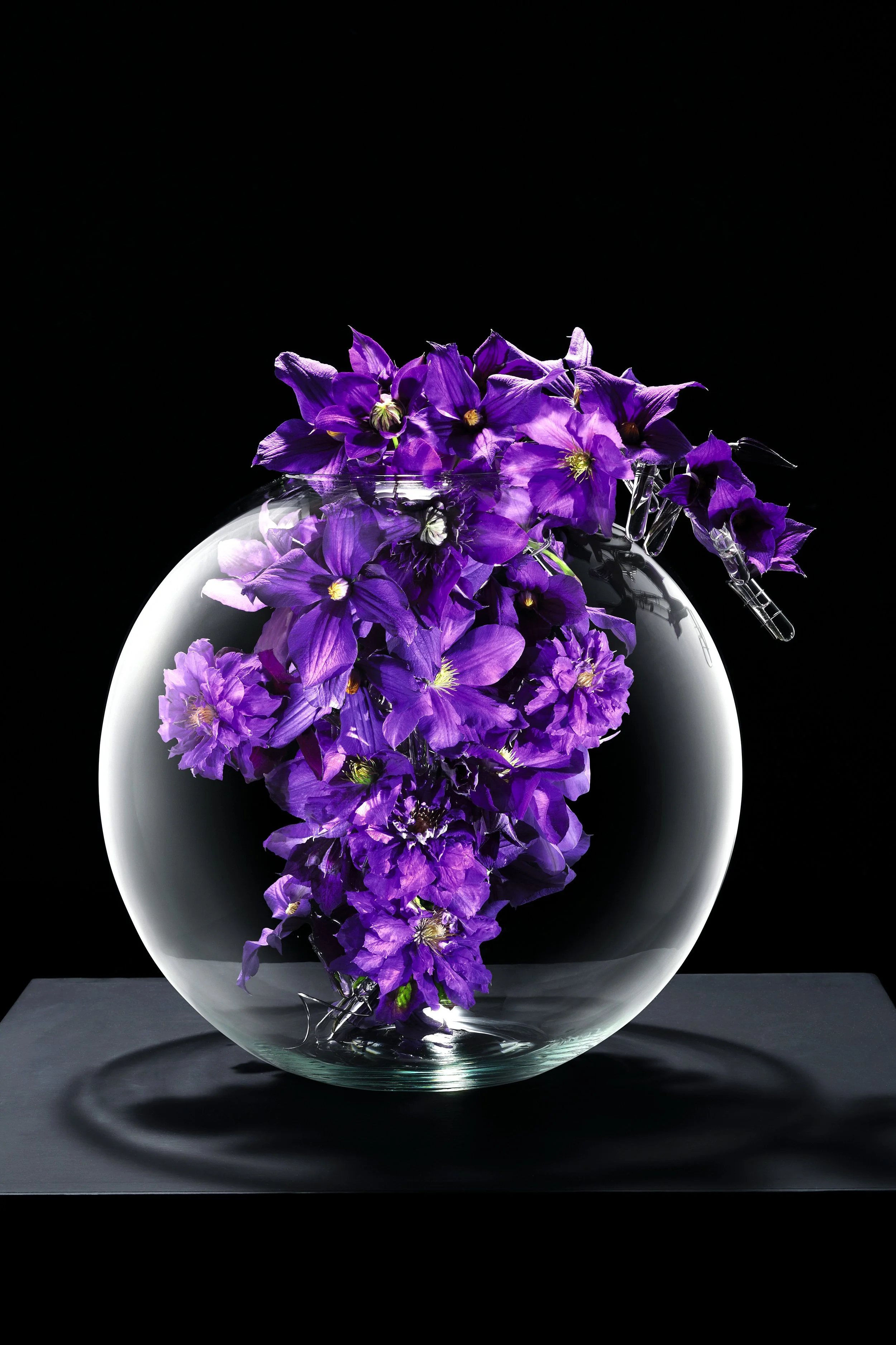 A glass globe-shaped vase filled with vibrant purple flowers against a dark background, casting a shadow on a black surface.
