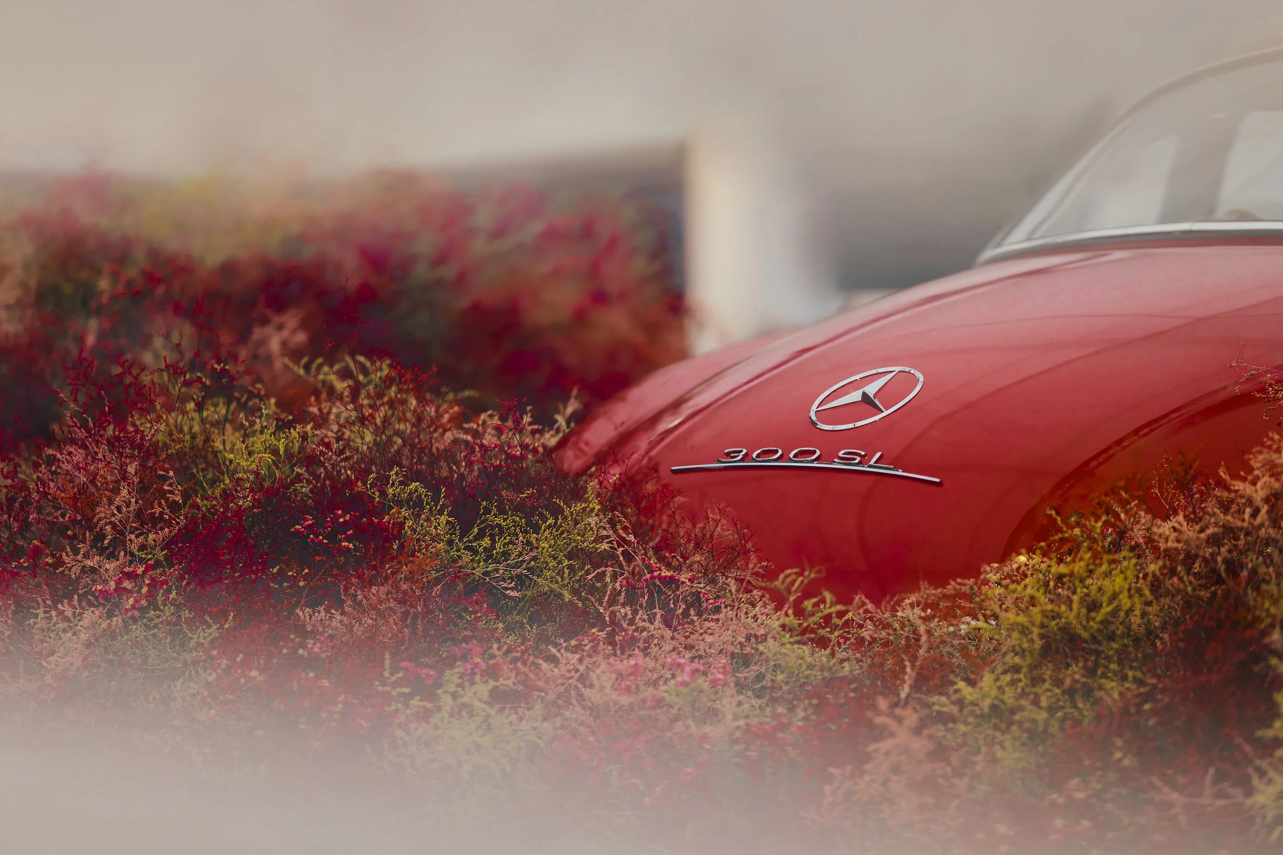 Luxury floral styling featuring red Mercedes 300 SL classic car surrounded by atmospheric red and pink flowers.