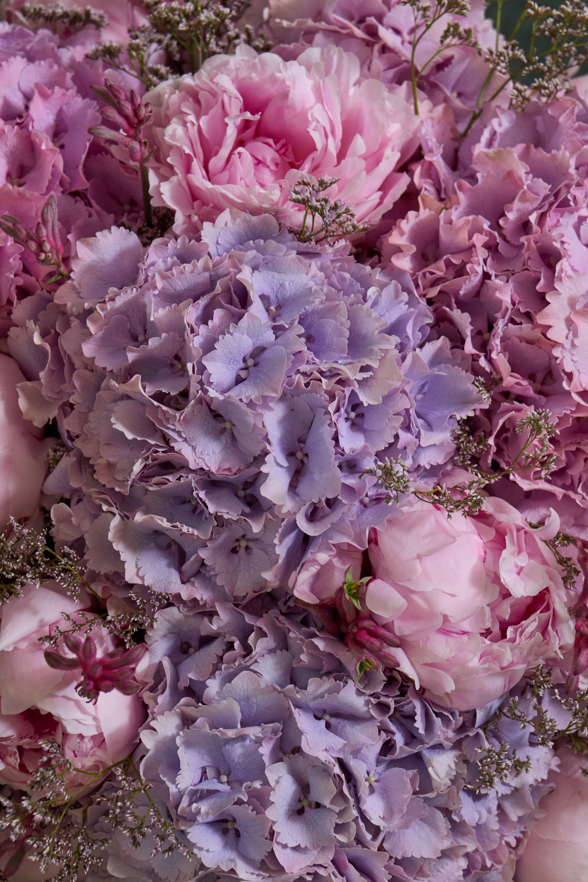 4. Heavenly Bloom Detail A.jpg