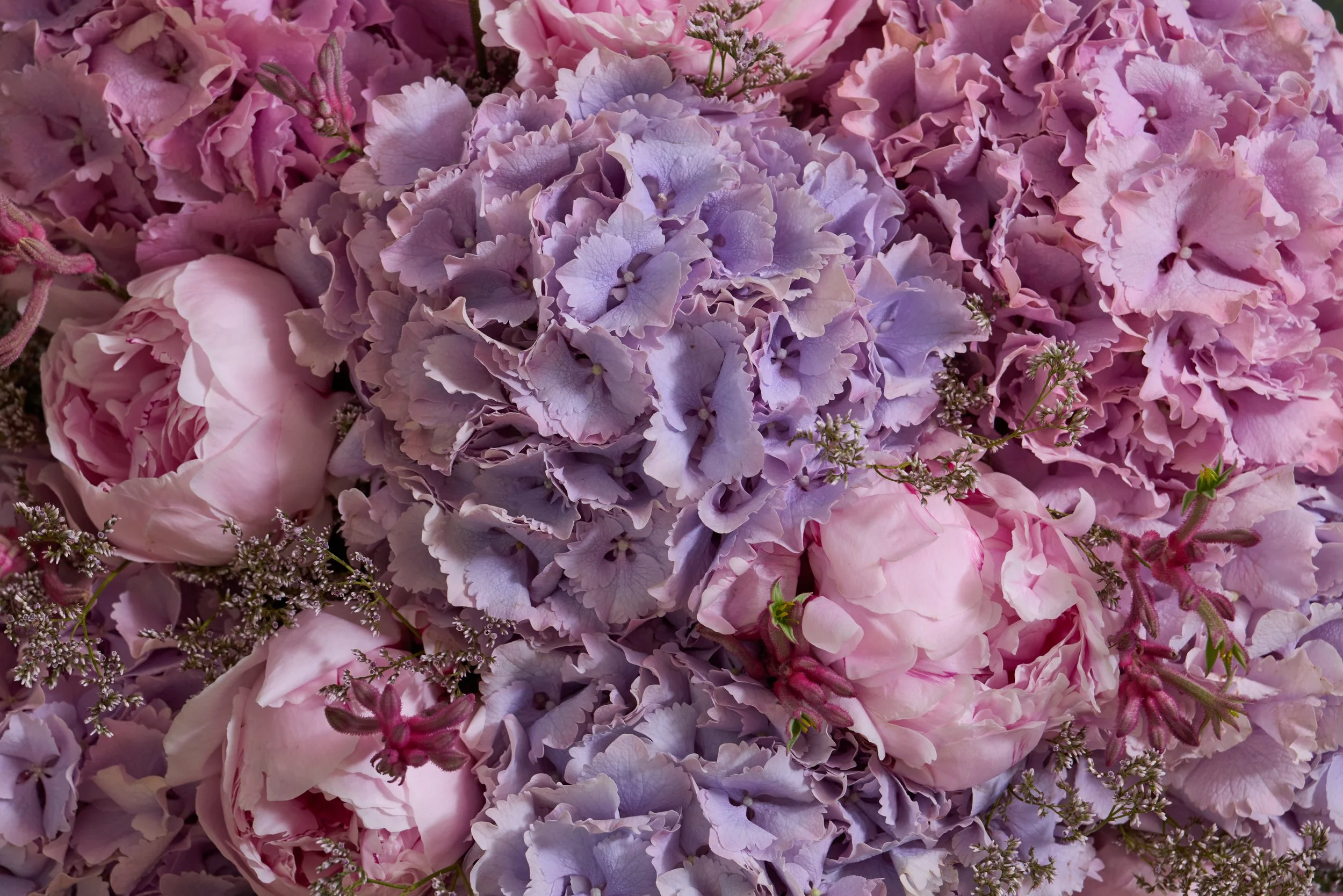 5. Heavenly Bloom Detail B.jpg