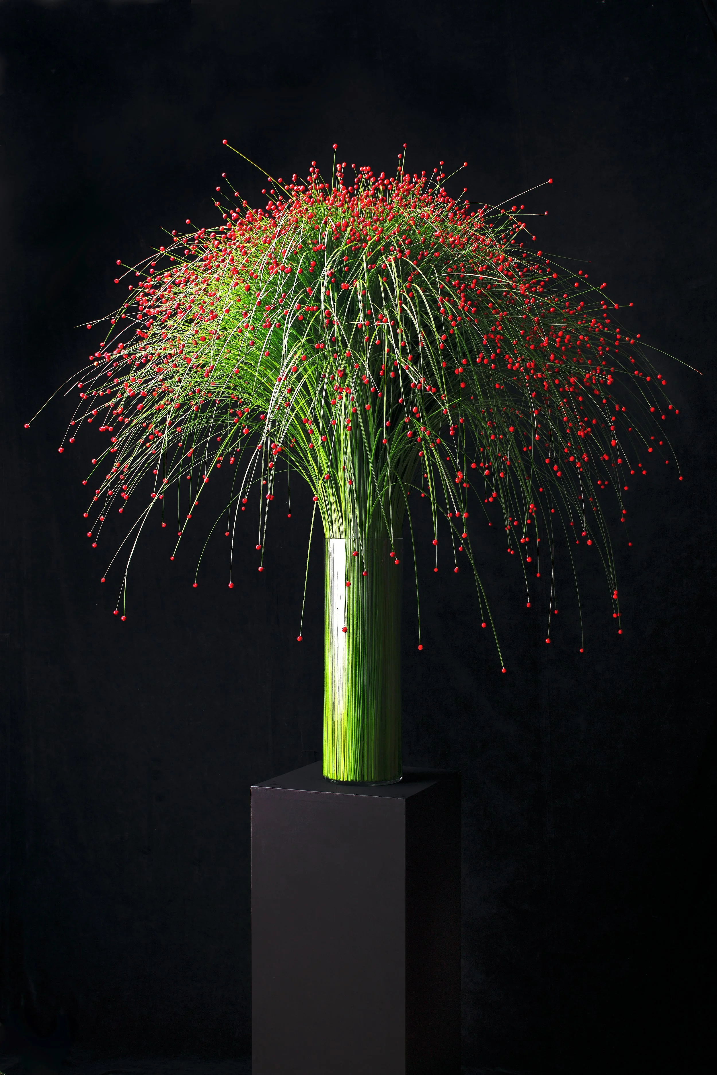 A tall glass vase filled with curly green grass, with numerous thin, curved stems topped with small red spheres, arranged in a spherical shape, on a black pedestal against a black background.