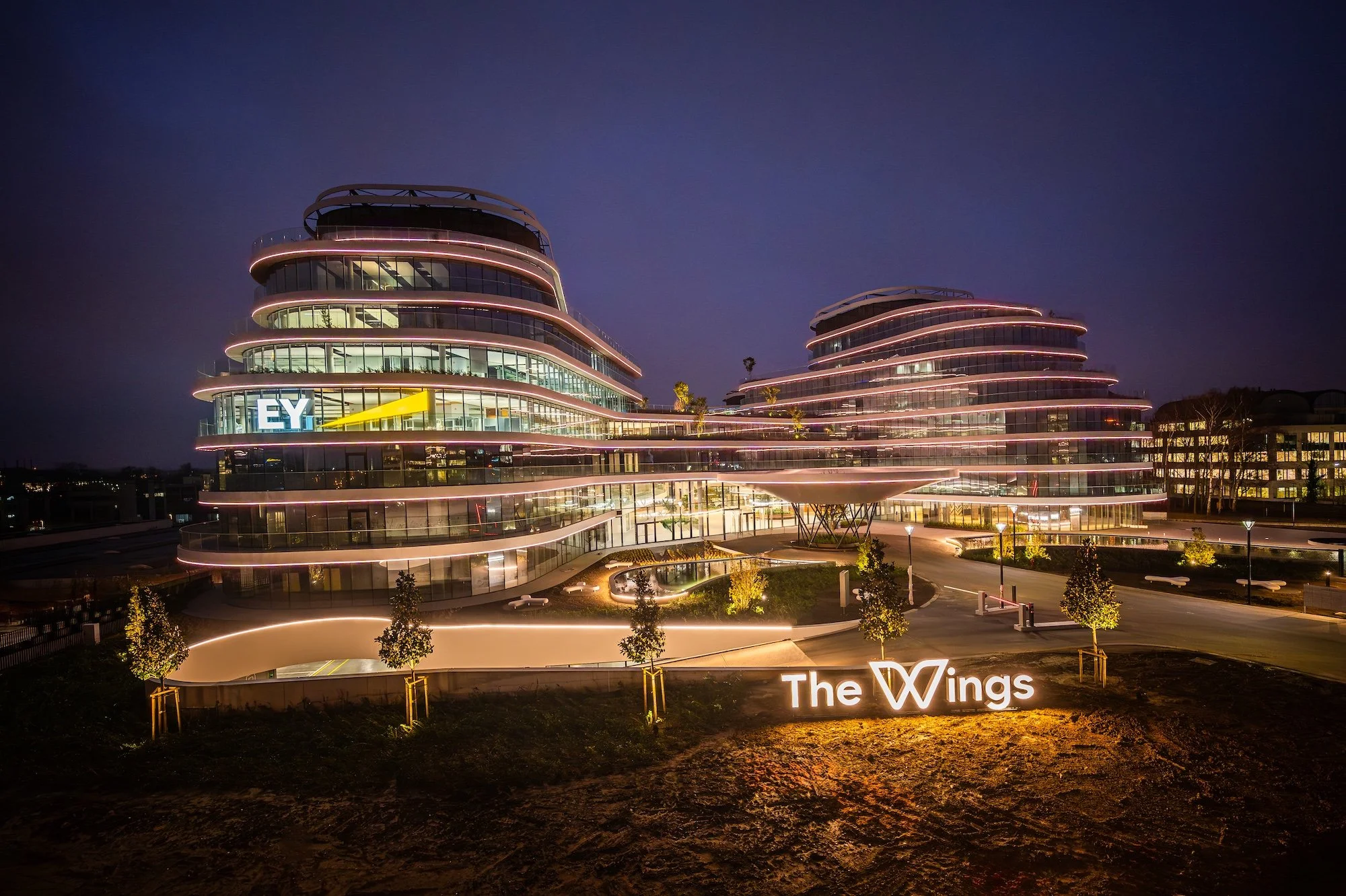 THE-WINGS_BXL_CAPTURE-PHOTOGRAPHY_FULL_20231218_0040.jpg