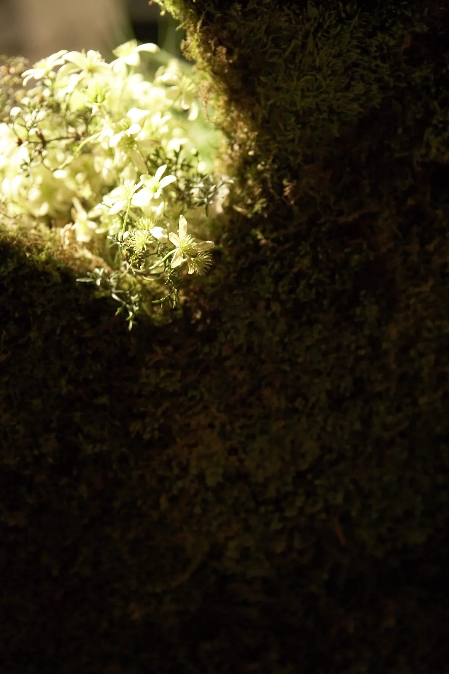 070315_-073.jpg