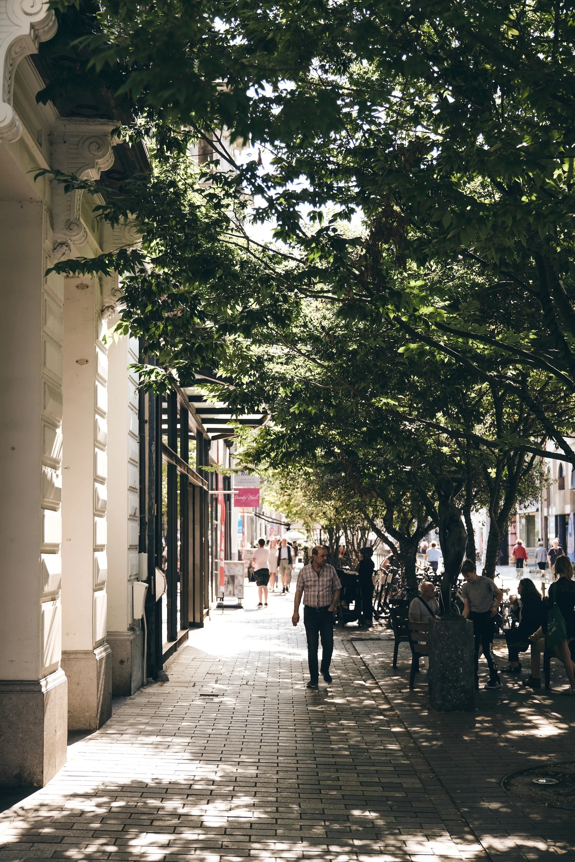 Tree-lined city street with historic architecture, shaded sidewalks, and pedestrians enjoying a lively urban atmosphere.