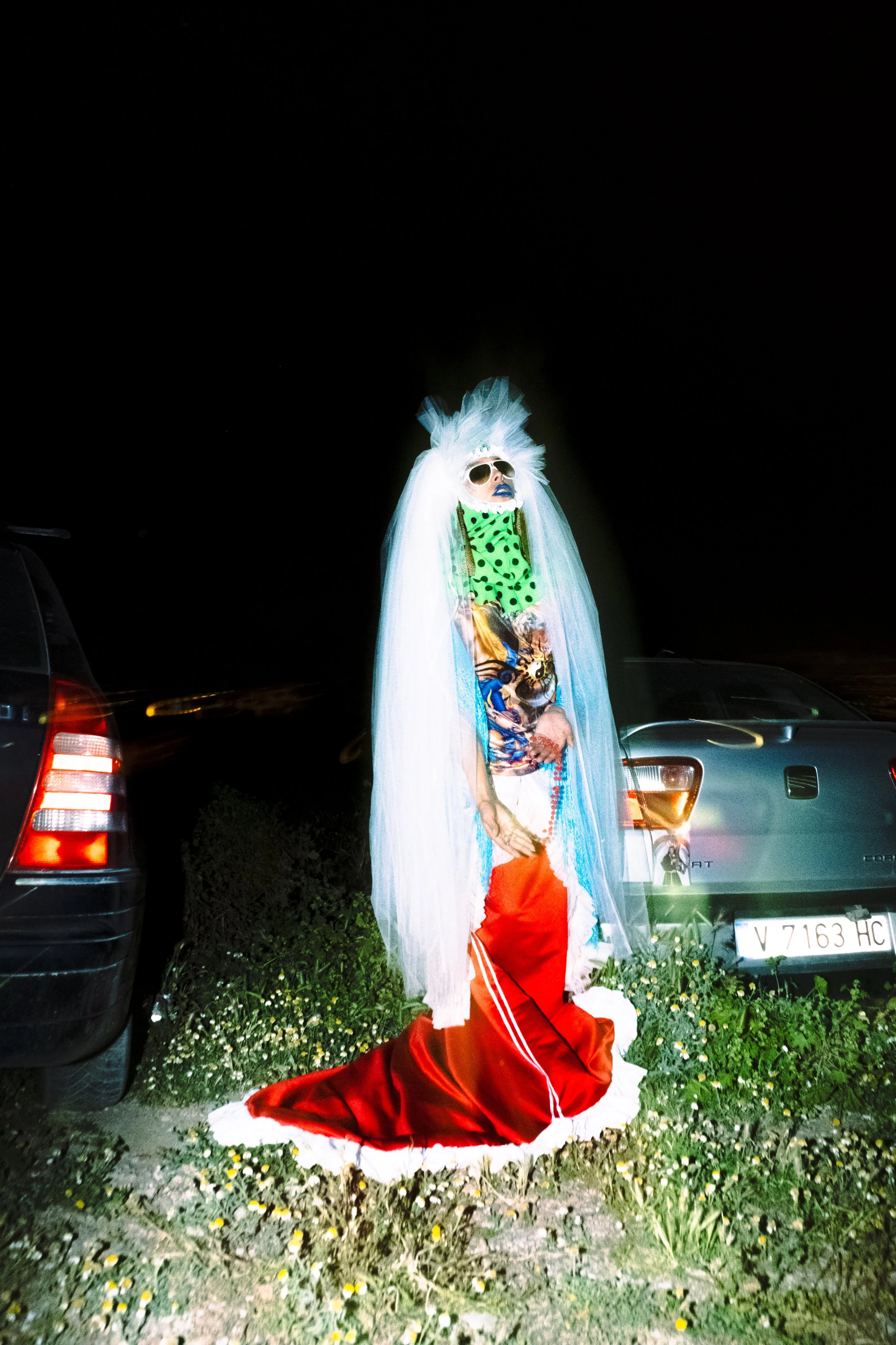 DSCF5972-3.jpg
