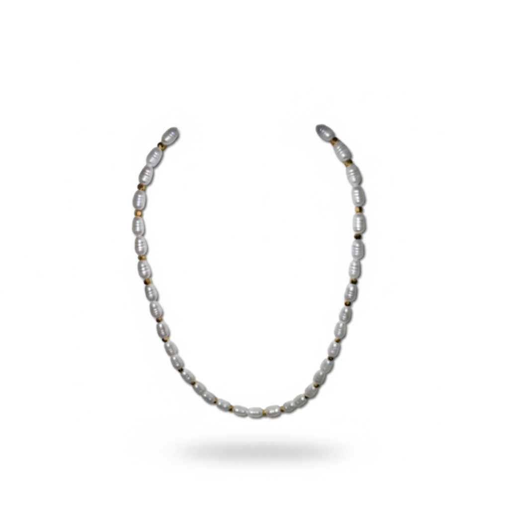 Gemini_Generated_Image_6lv1iw6lv1iw6lv1 (1).png