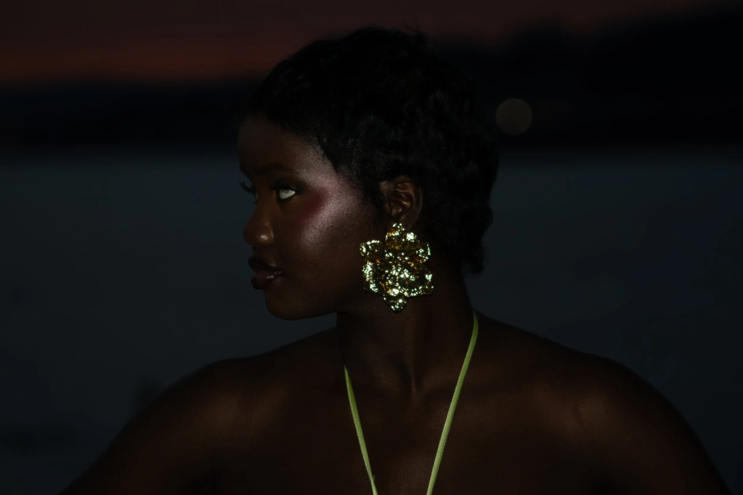 Portrait d'une femme noire portant d'importants bijoux dorés, avec un fond sombre et une lumière douce mettant en valeur sa peau et ses accessoires.